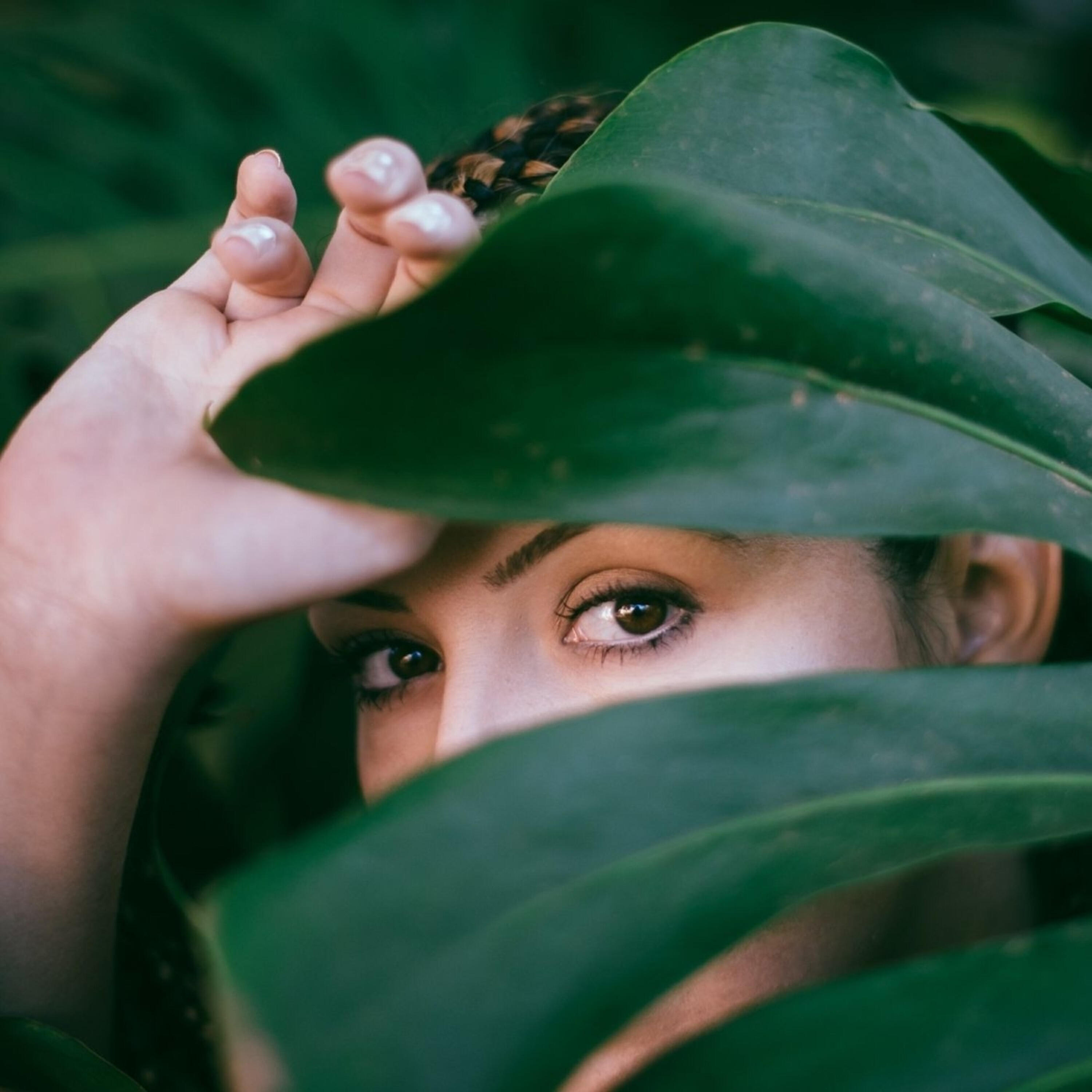Релиз Minha Selva