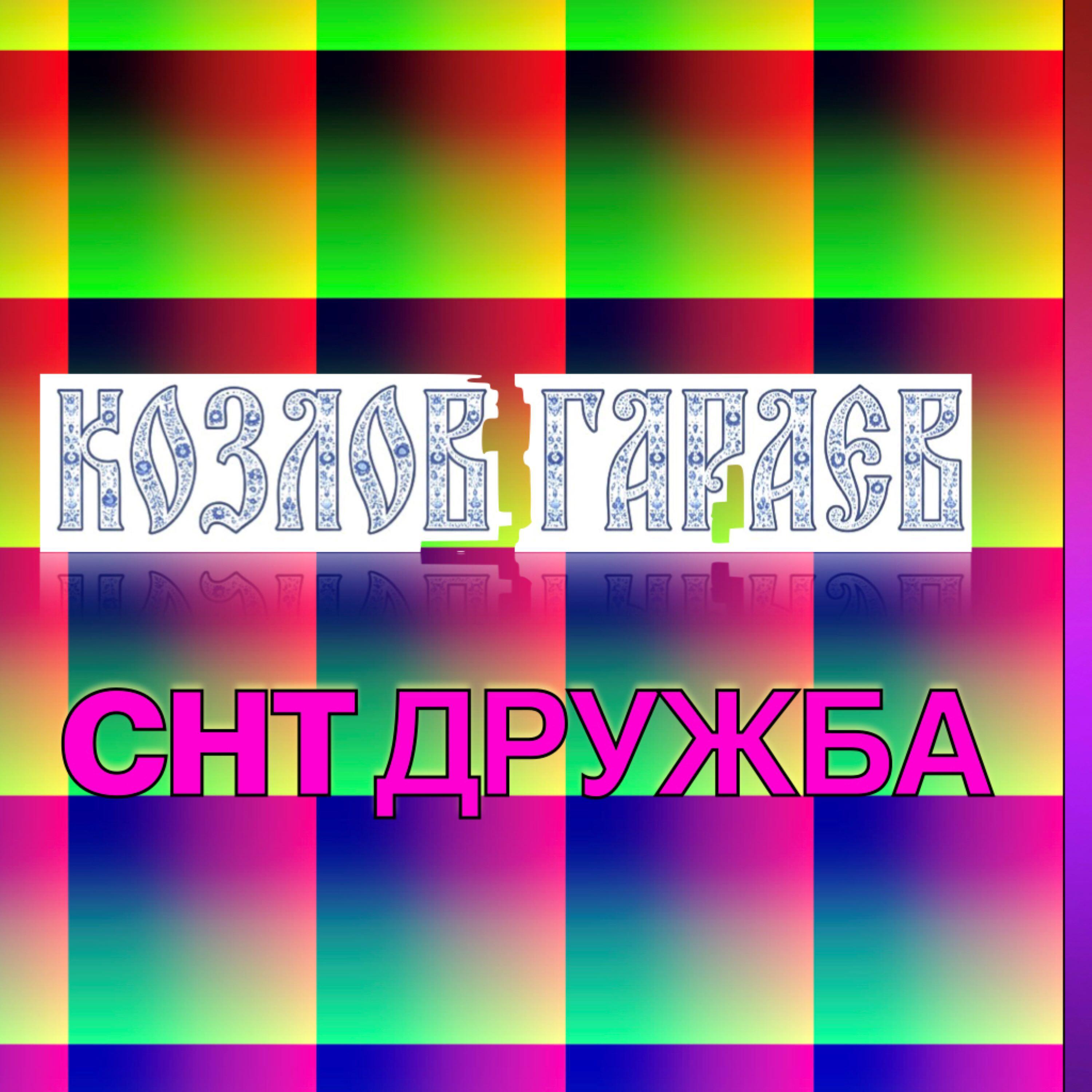Релиз СНТ Дружба