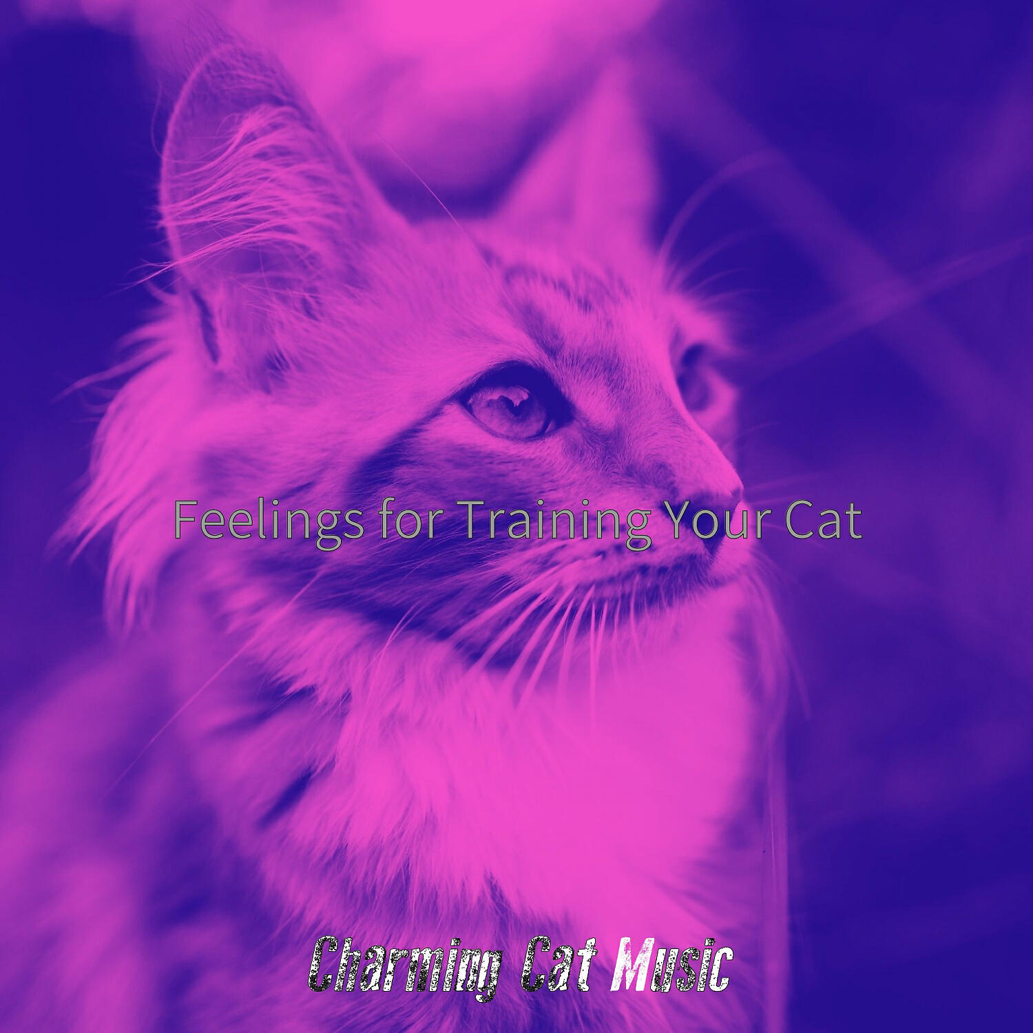 Релиз Feelings for Training Your Cat