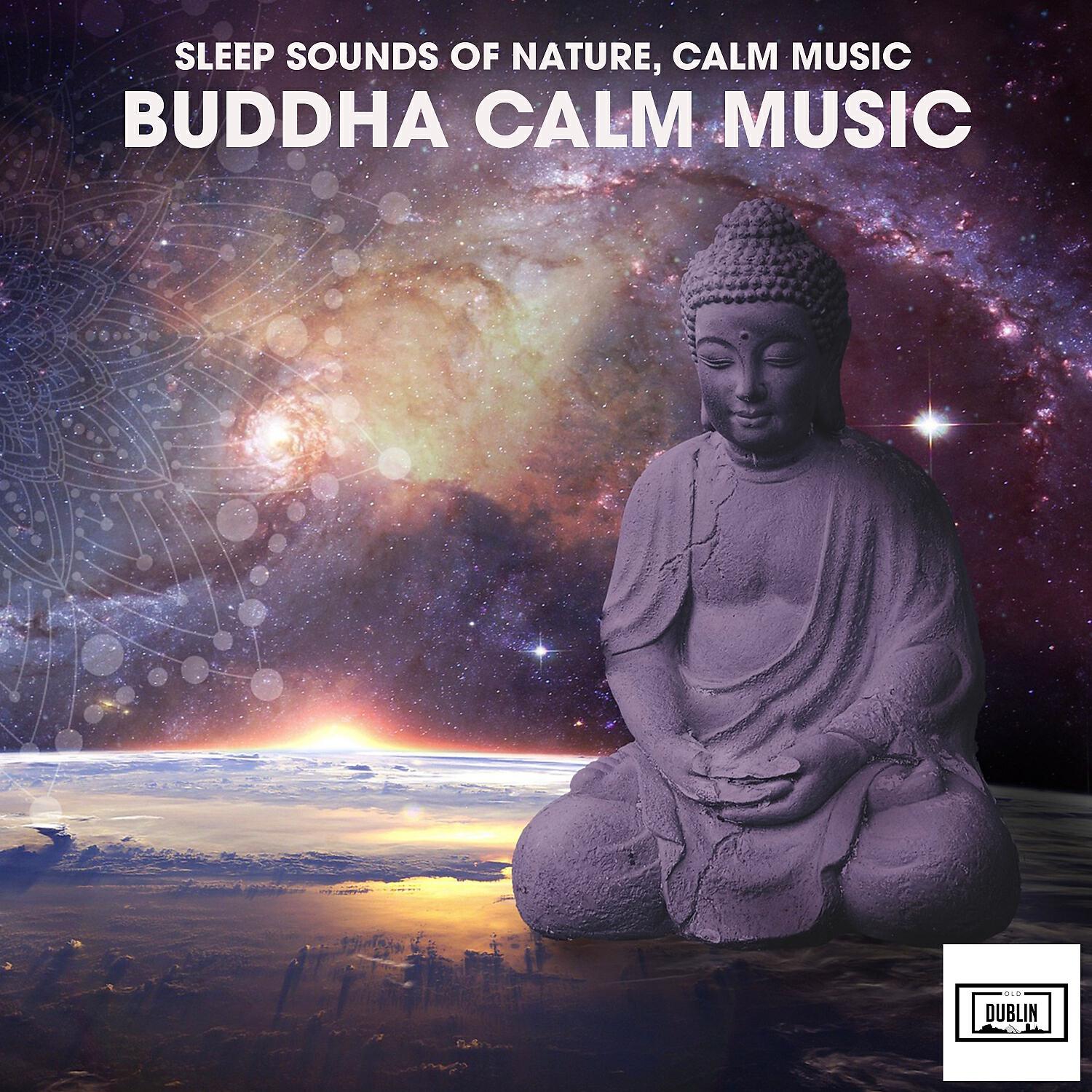 Релиз Buddha Calm Music
