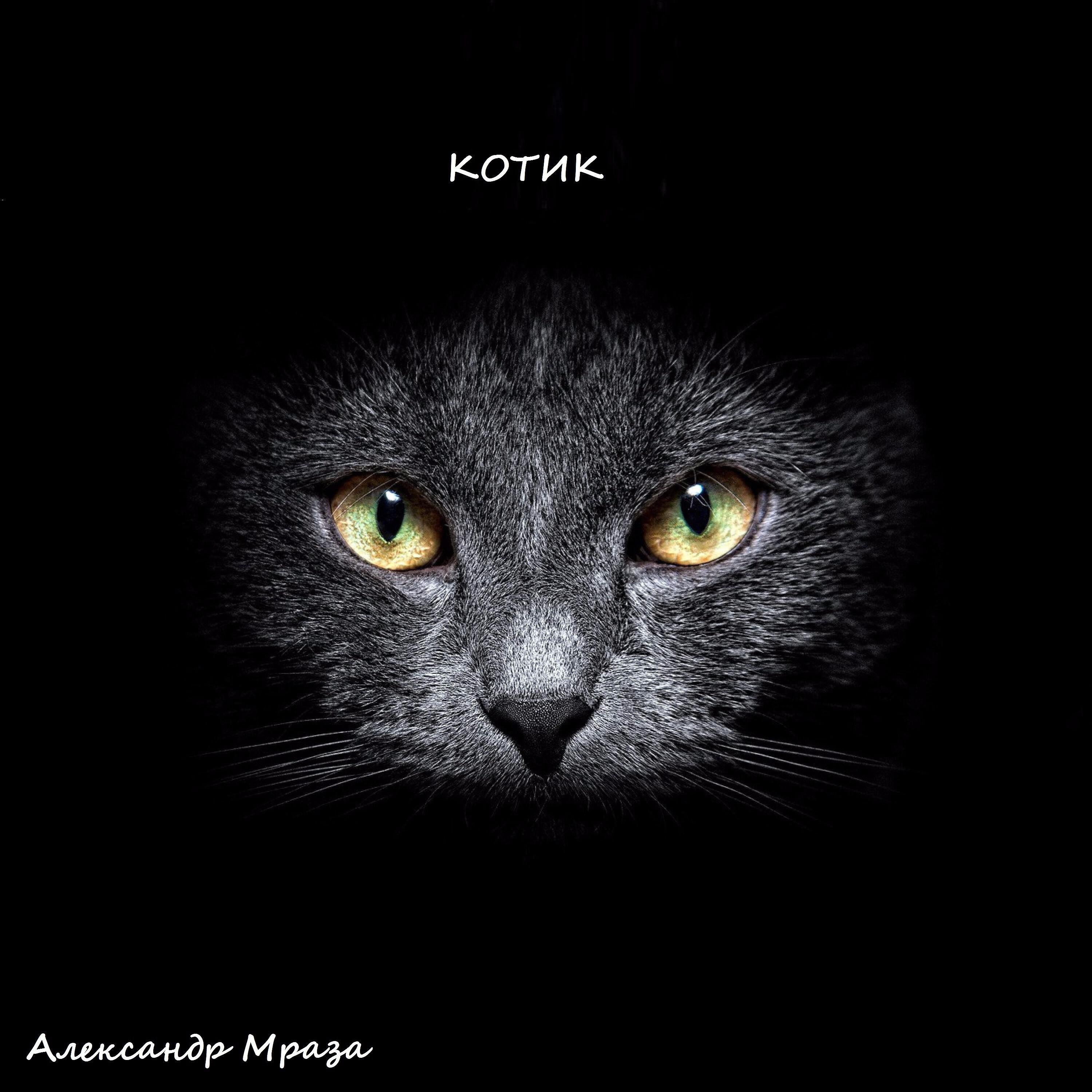 Релиз Котик