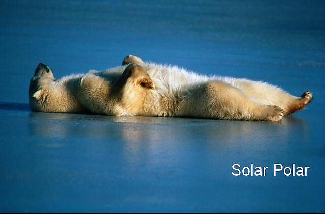 Solar Polar