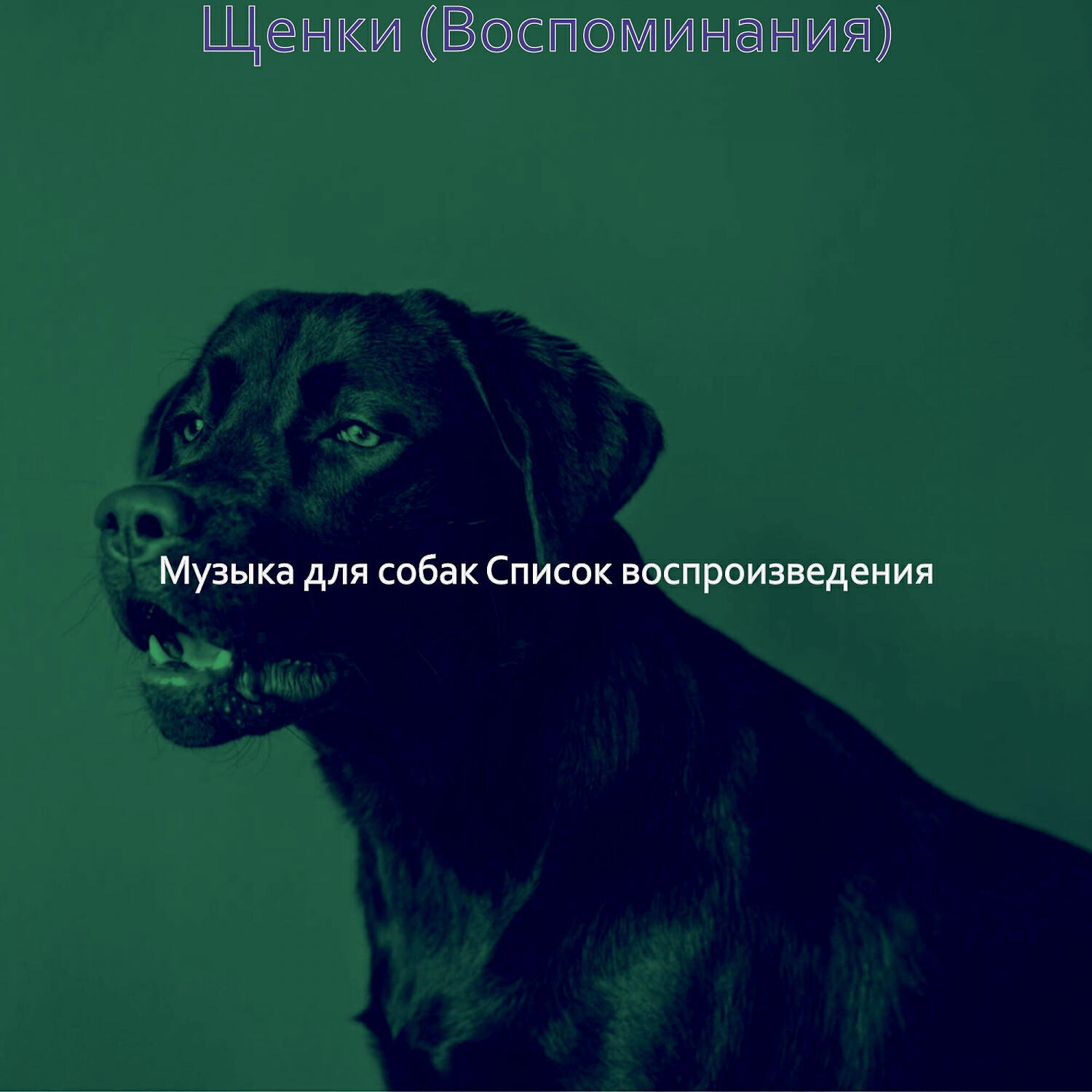 Постер альбома Щенки (Воспоминания)