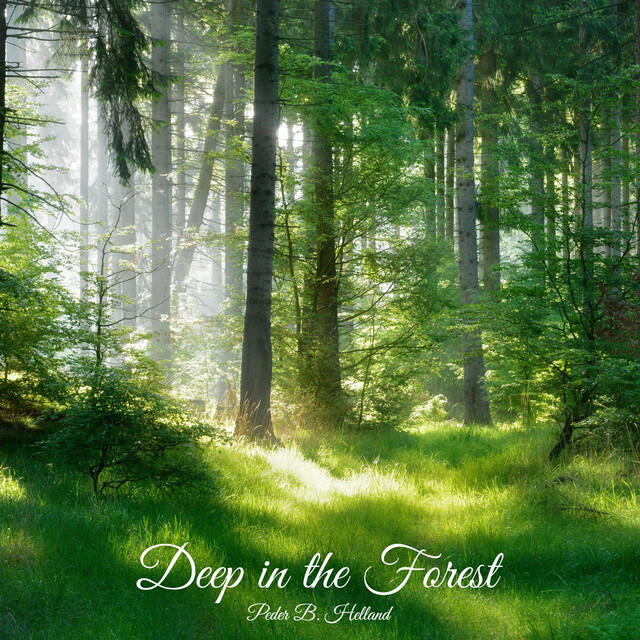 Релиз Deep in the Forest