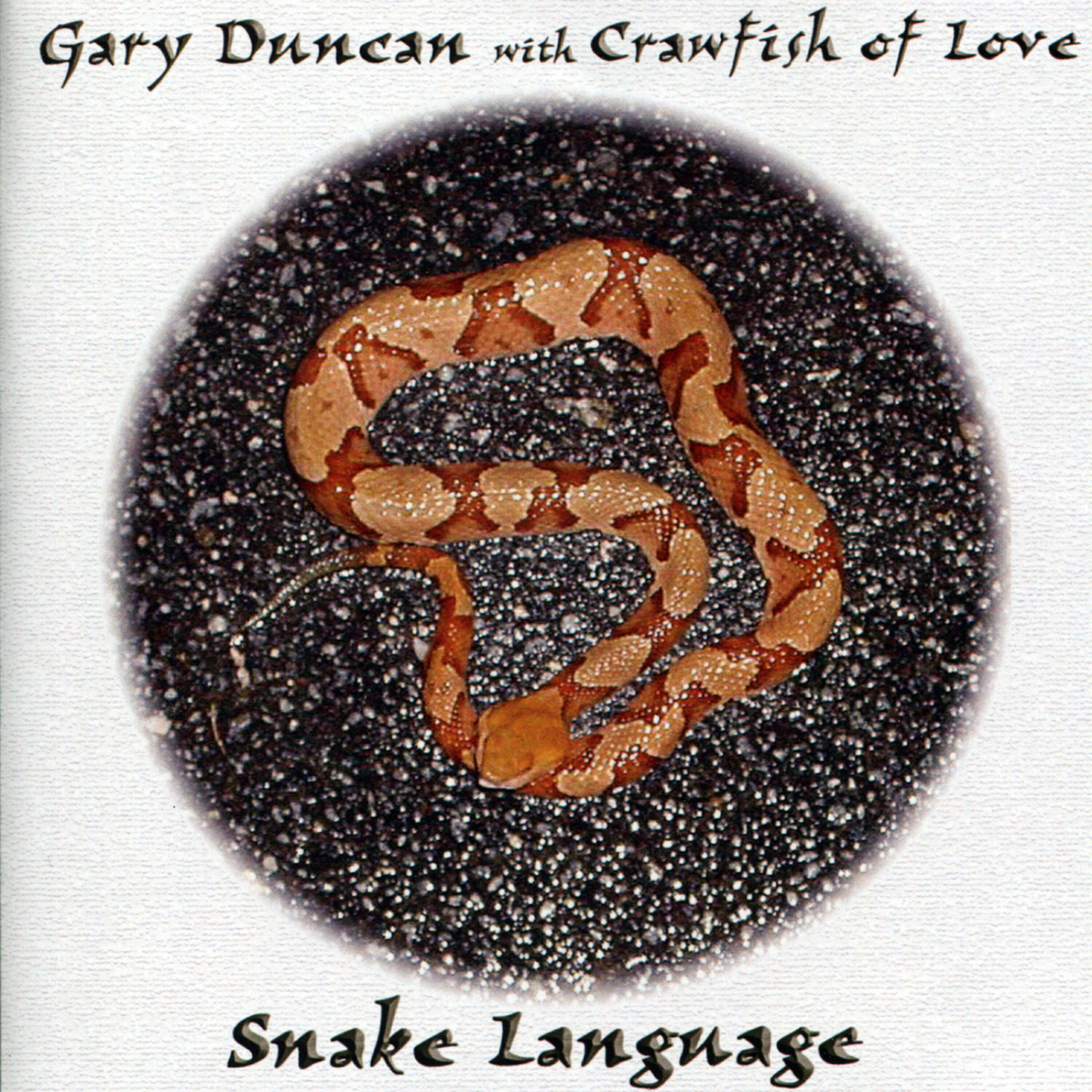 Релиз Snake Language