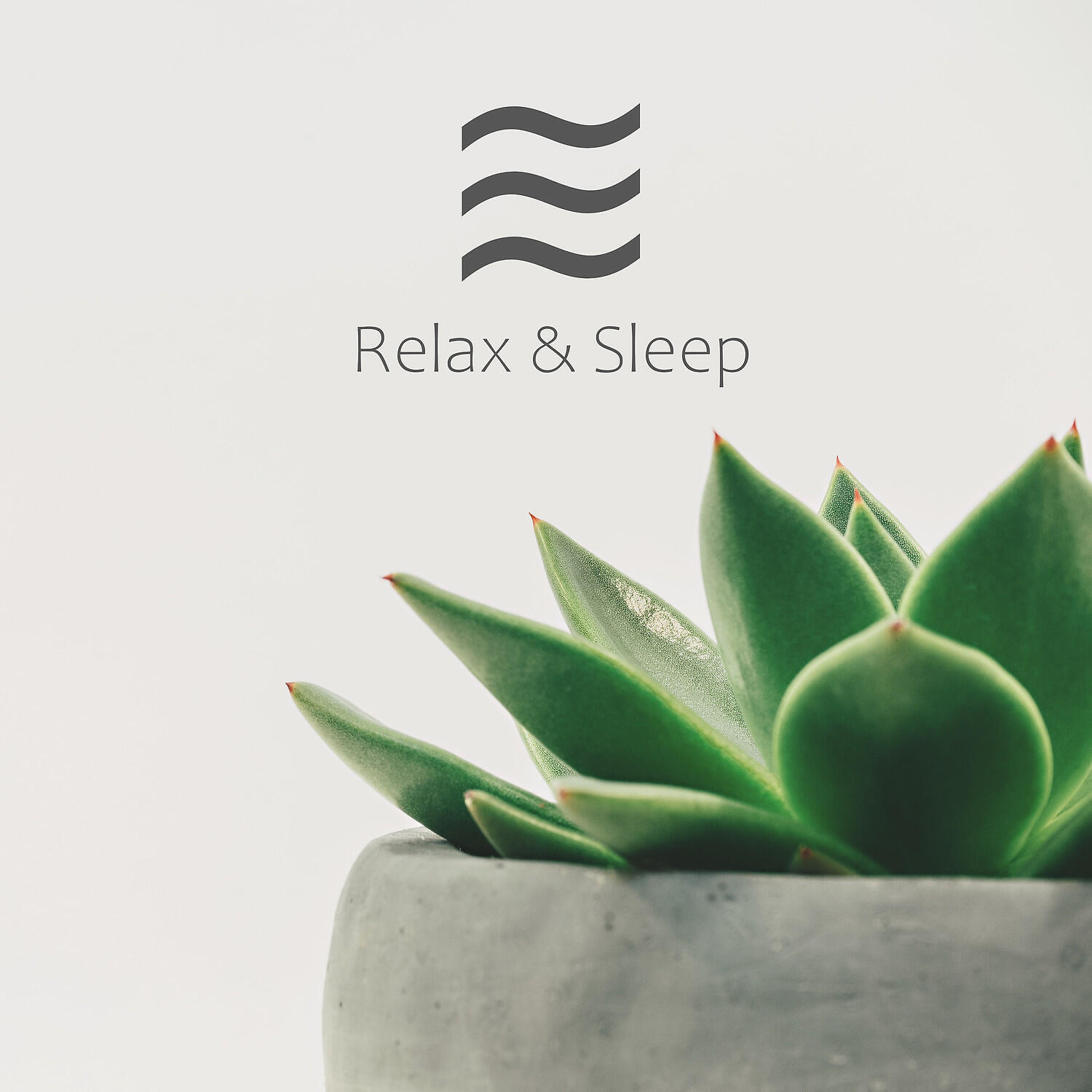 Релиз Mind Rest Nature Noises