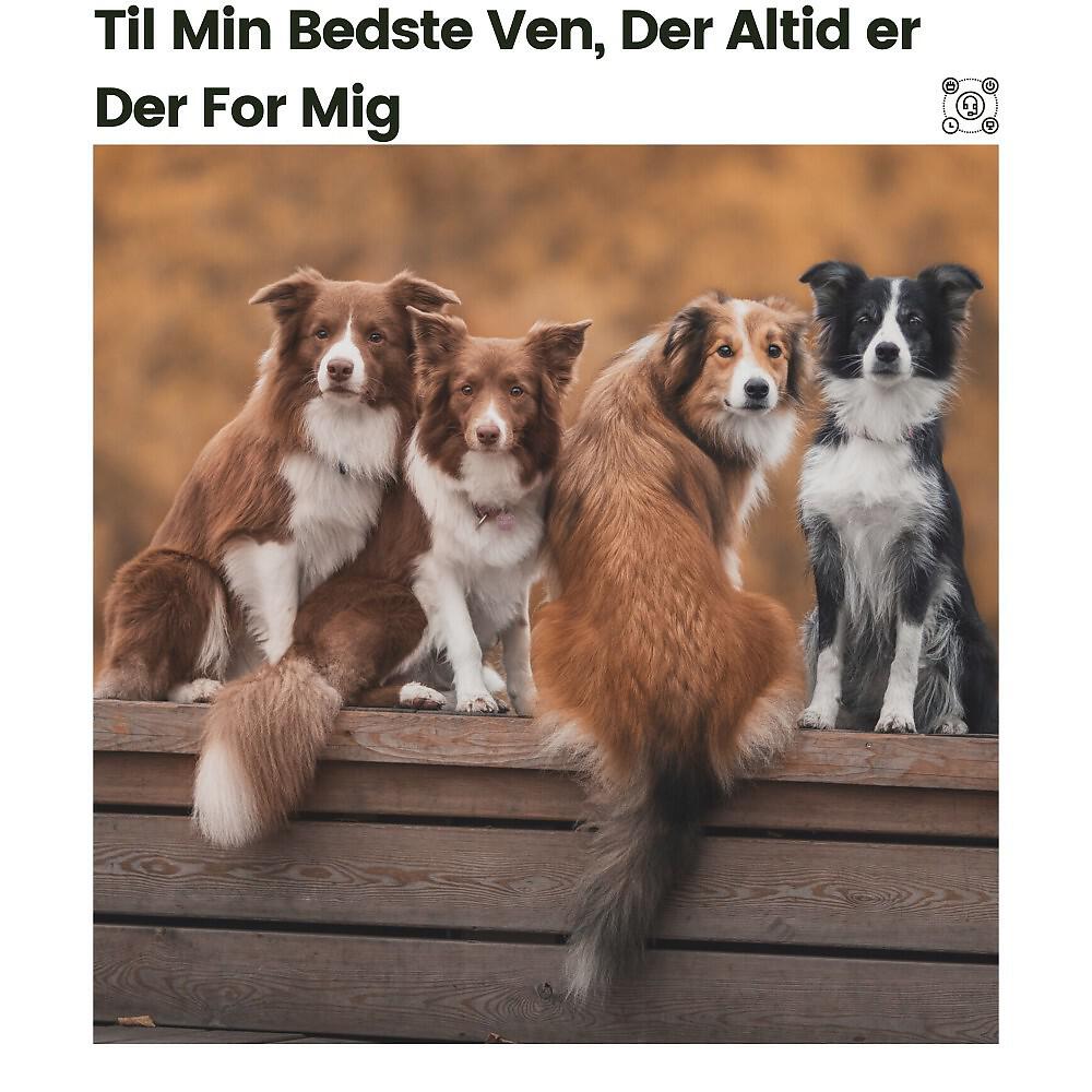 Релиз Til min bedste ven, der altid er der for mig