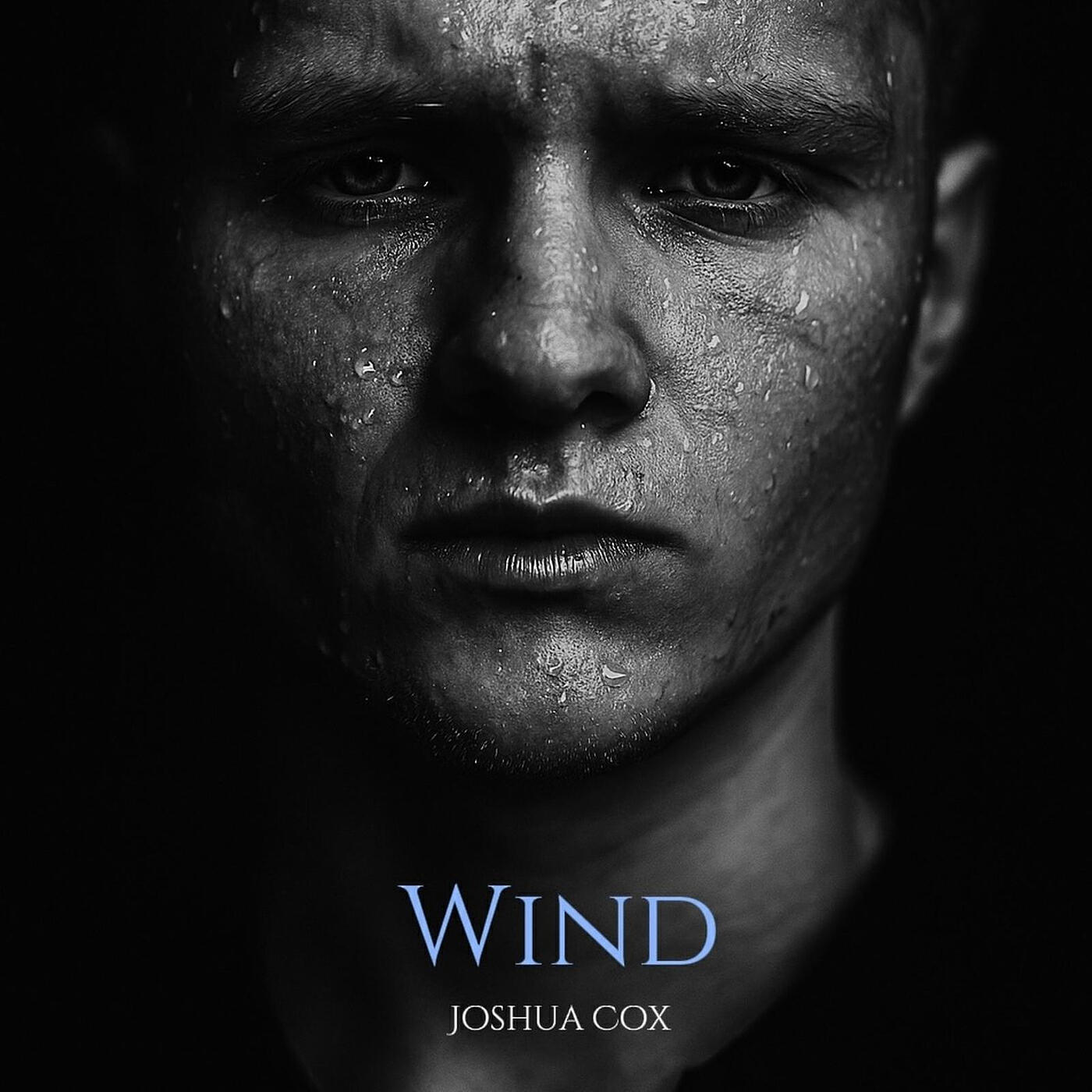 Релиз Wind