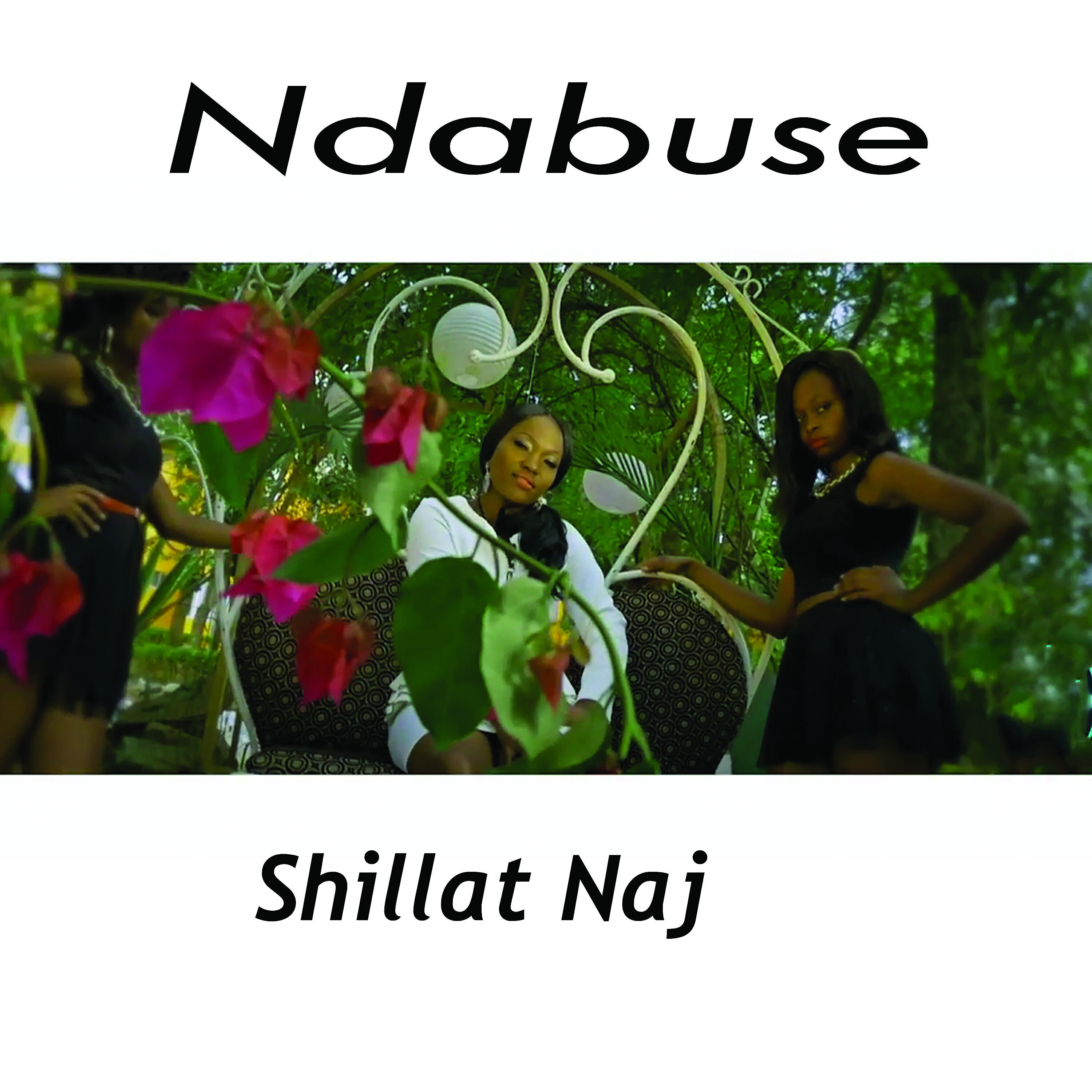 Shillat Naj