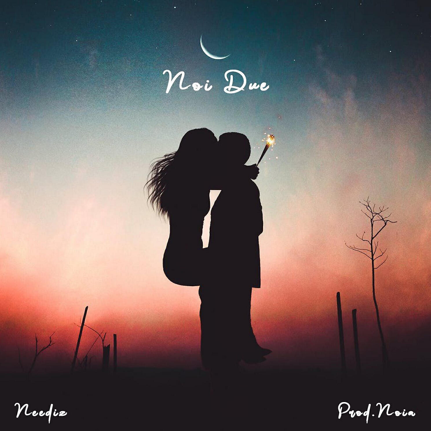 Релиз Noi due