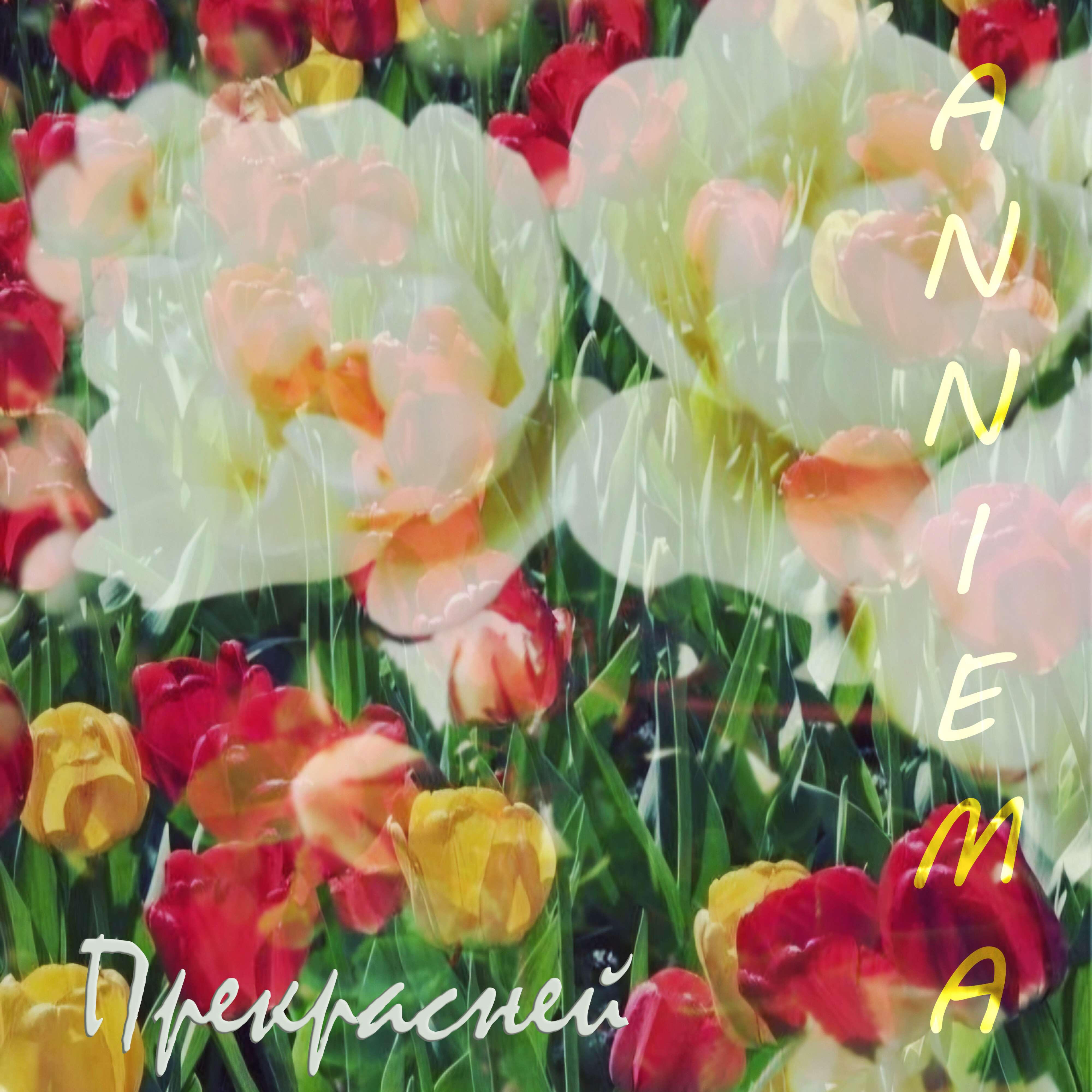 Релиз Прекрасней