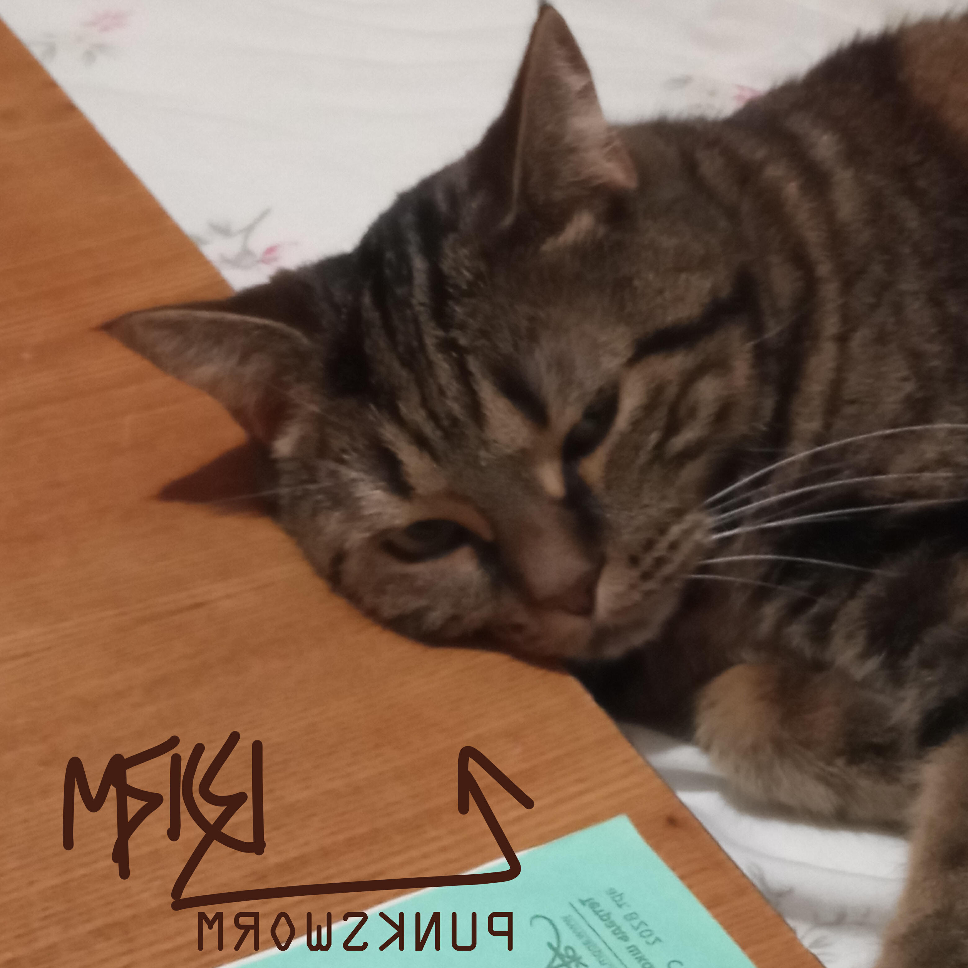 Релиз Мяся