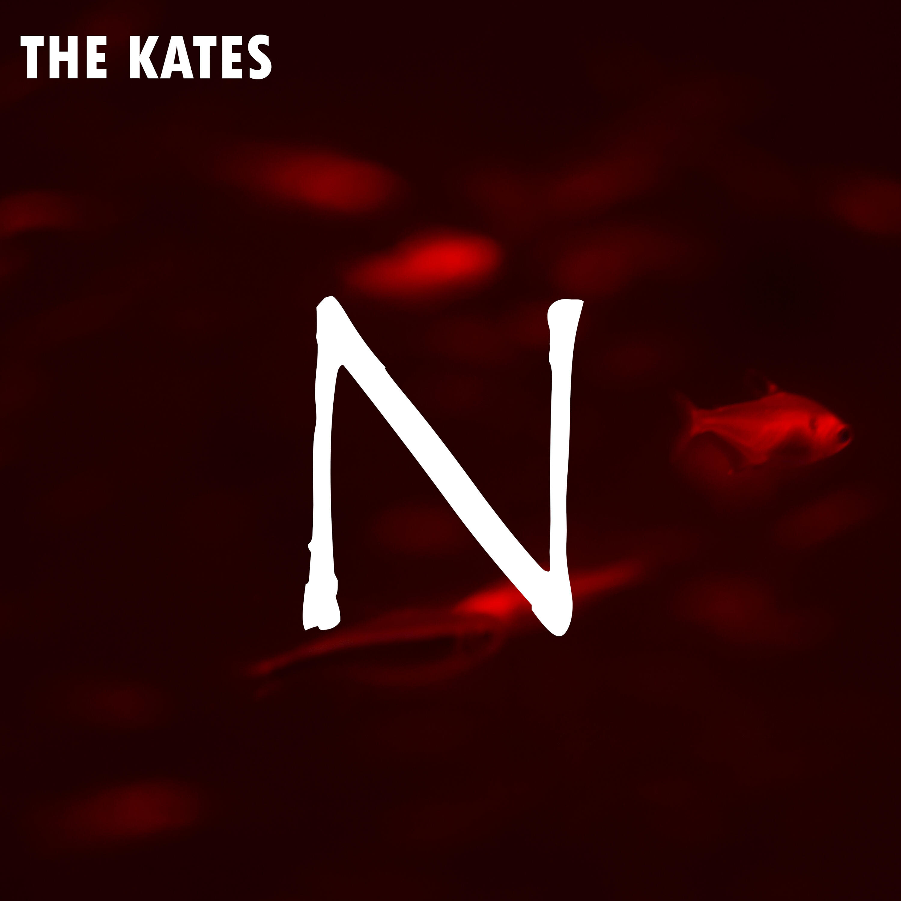 Релиз N