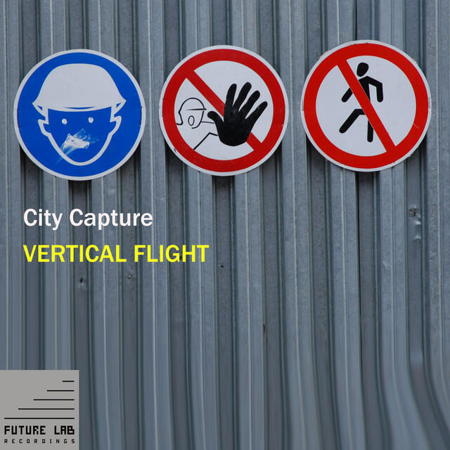 Релиз Vertical Flight