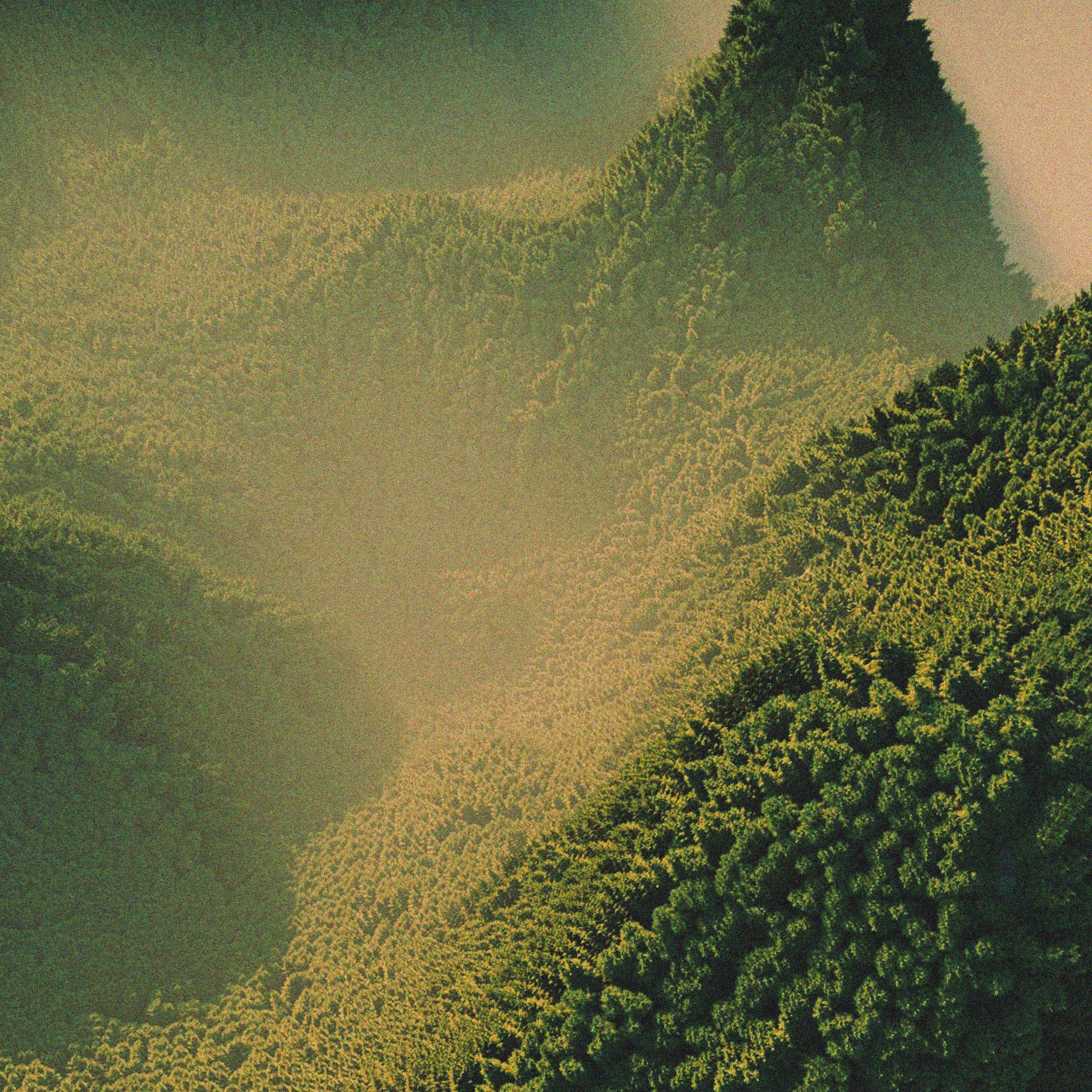 Релиз eden