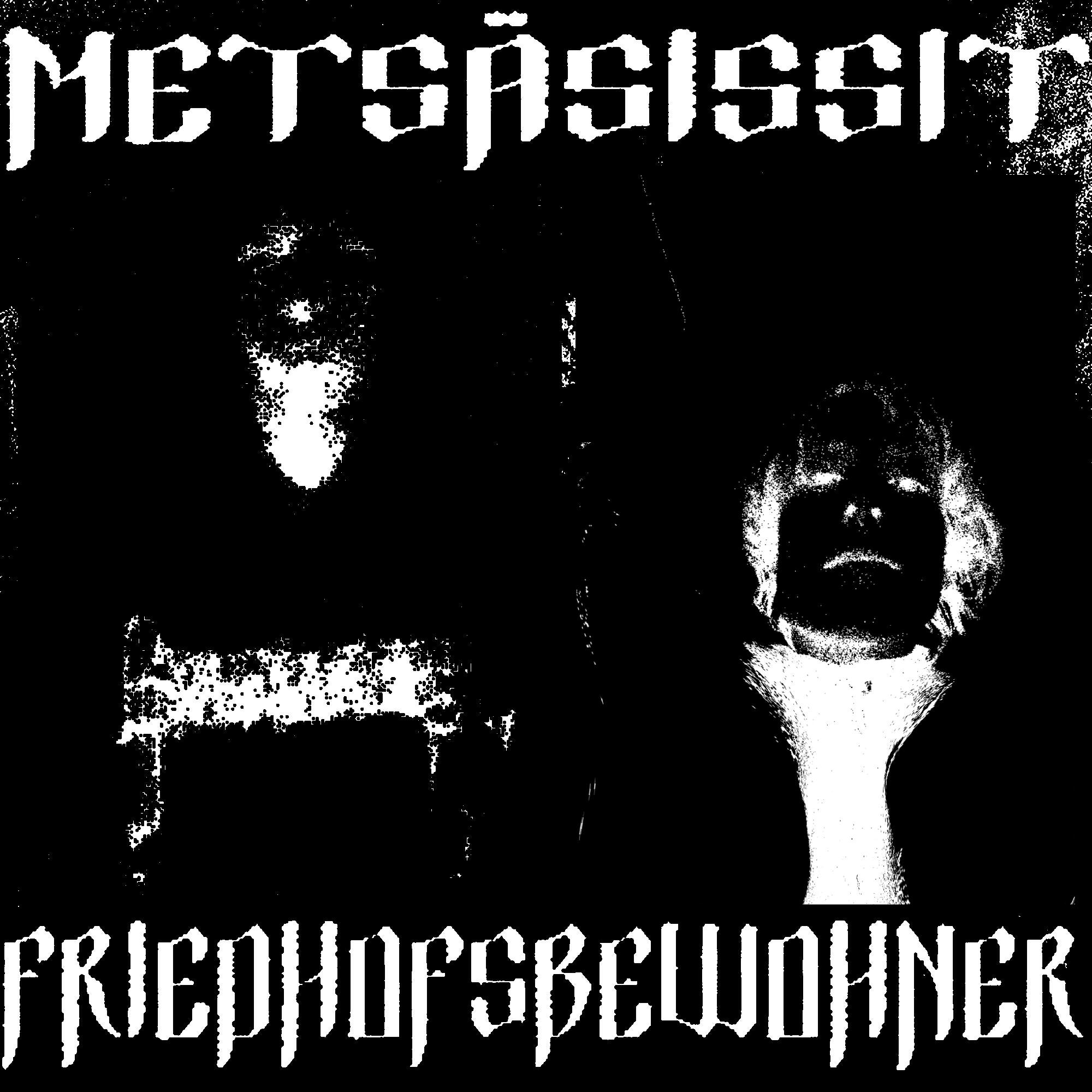 Metsäsissit