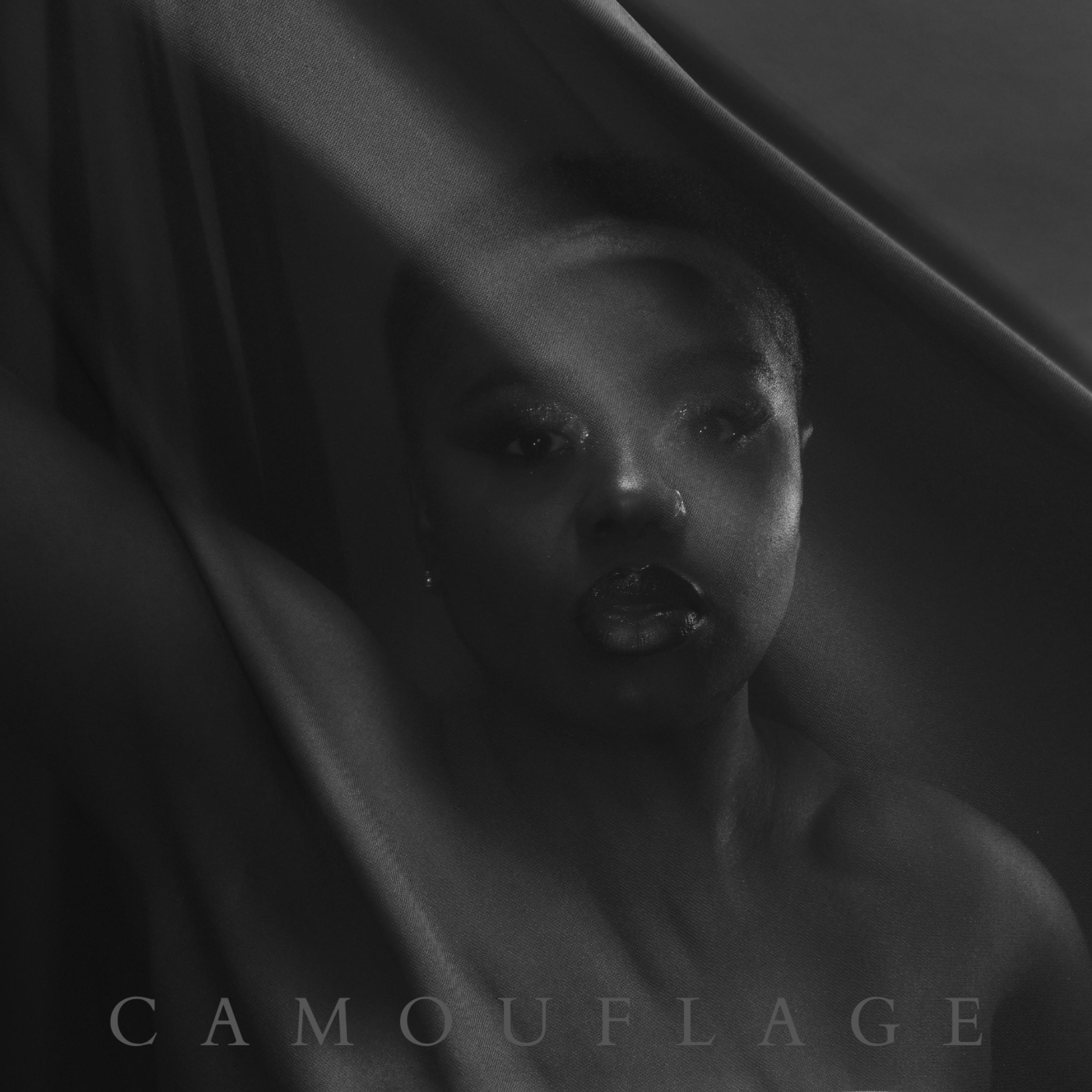 Релиз Camouflage