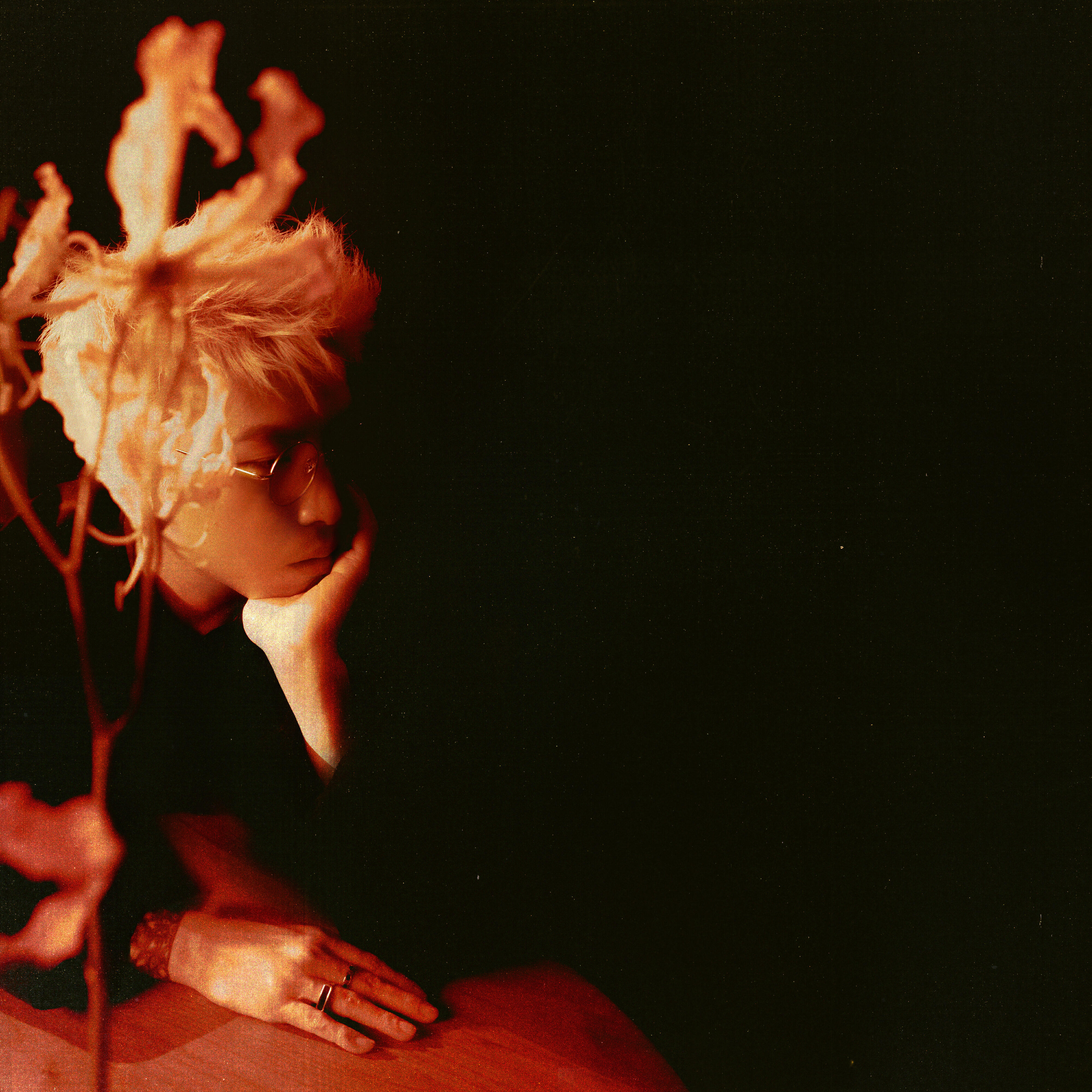 Трек The Occupant