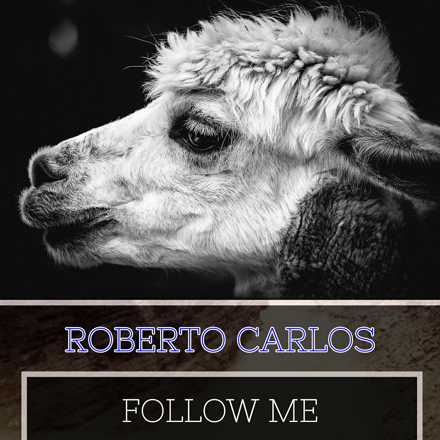Постер альбома Follow Me