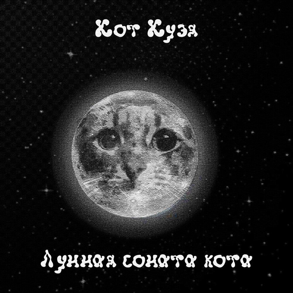 Трек Лунная соната кота