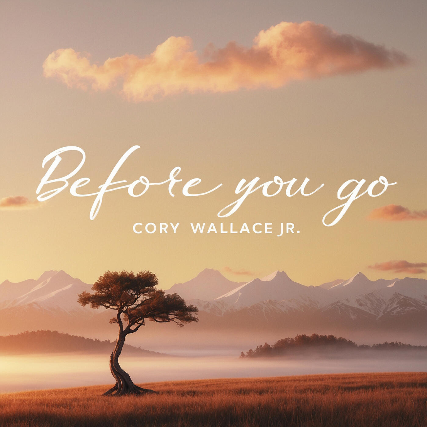 Релиз Before You Go