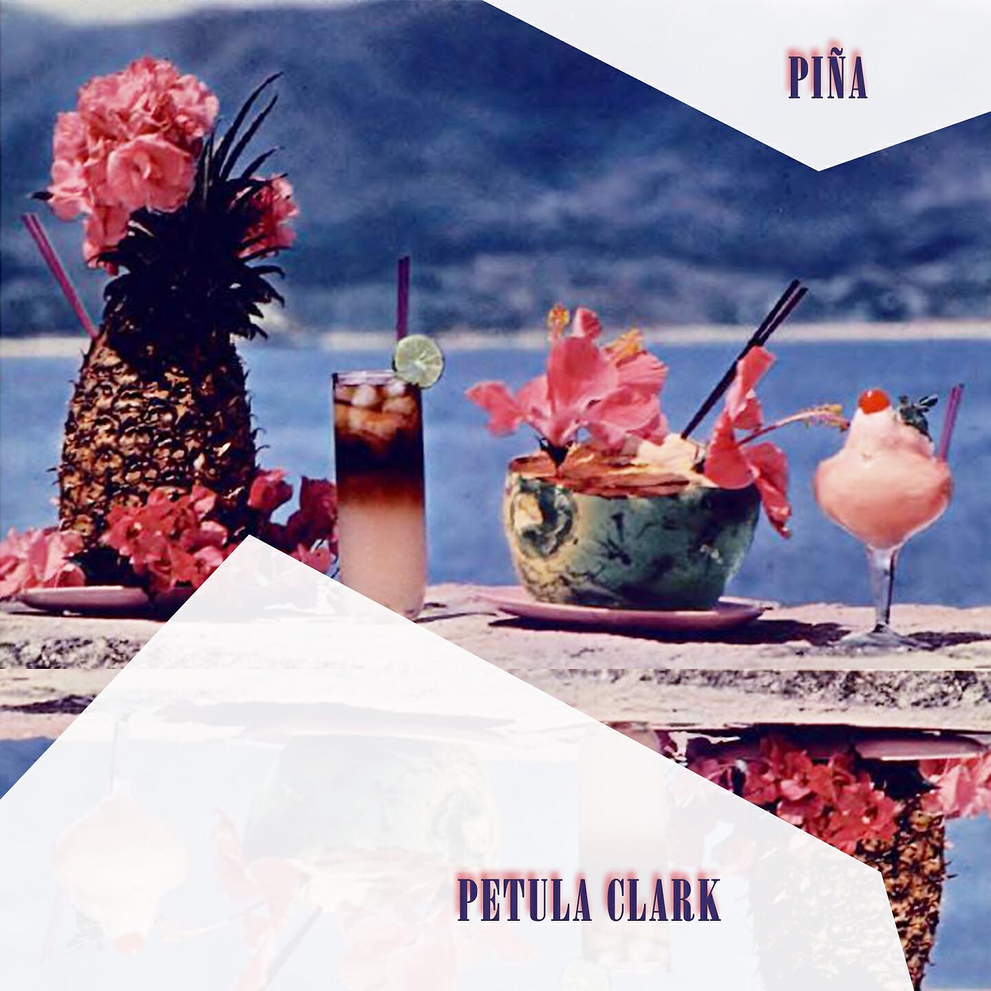 Релиз Pina