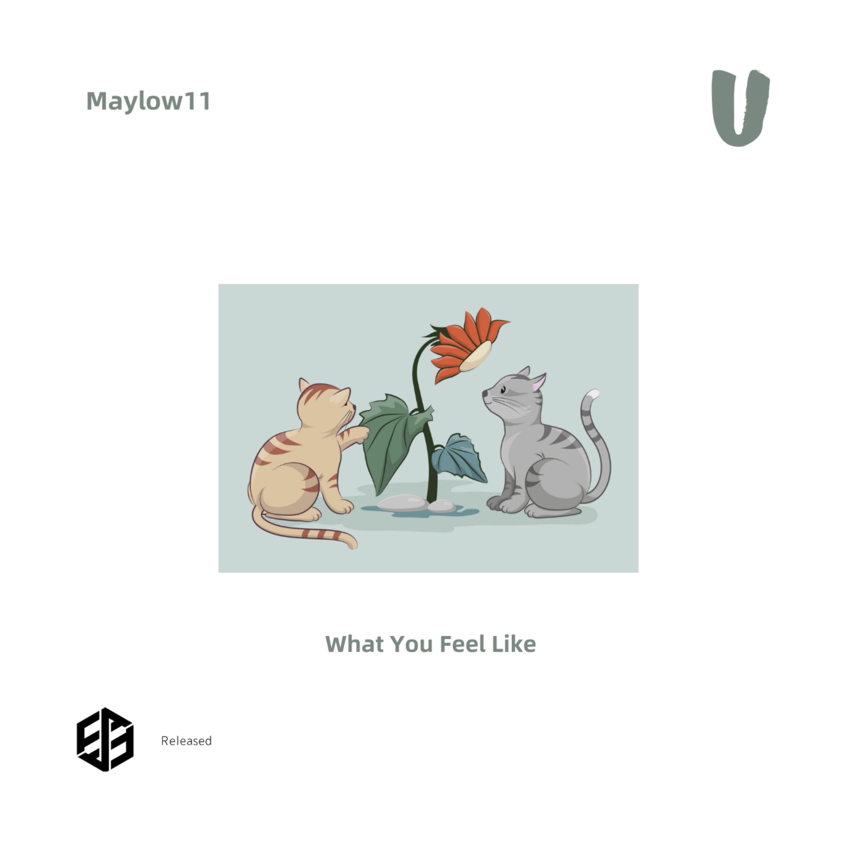 Релиз What You Feel Like