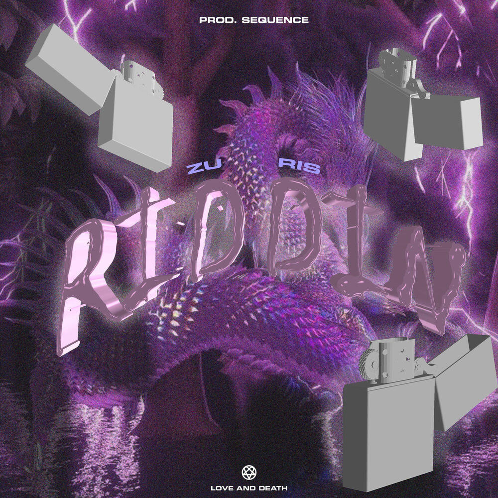 Релиз Riddin