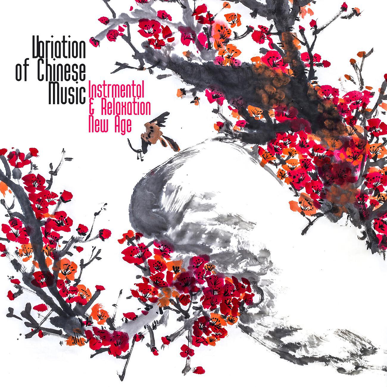 Релиз Variation of Chinese Music, Instrmental & Relaxation New Age