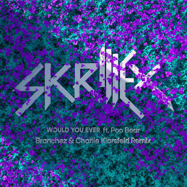 Релиз Would You Ever (Branchez & Charlie Klarsfeld Remix)