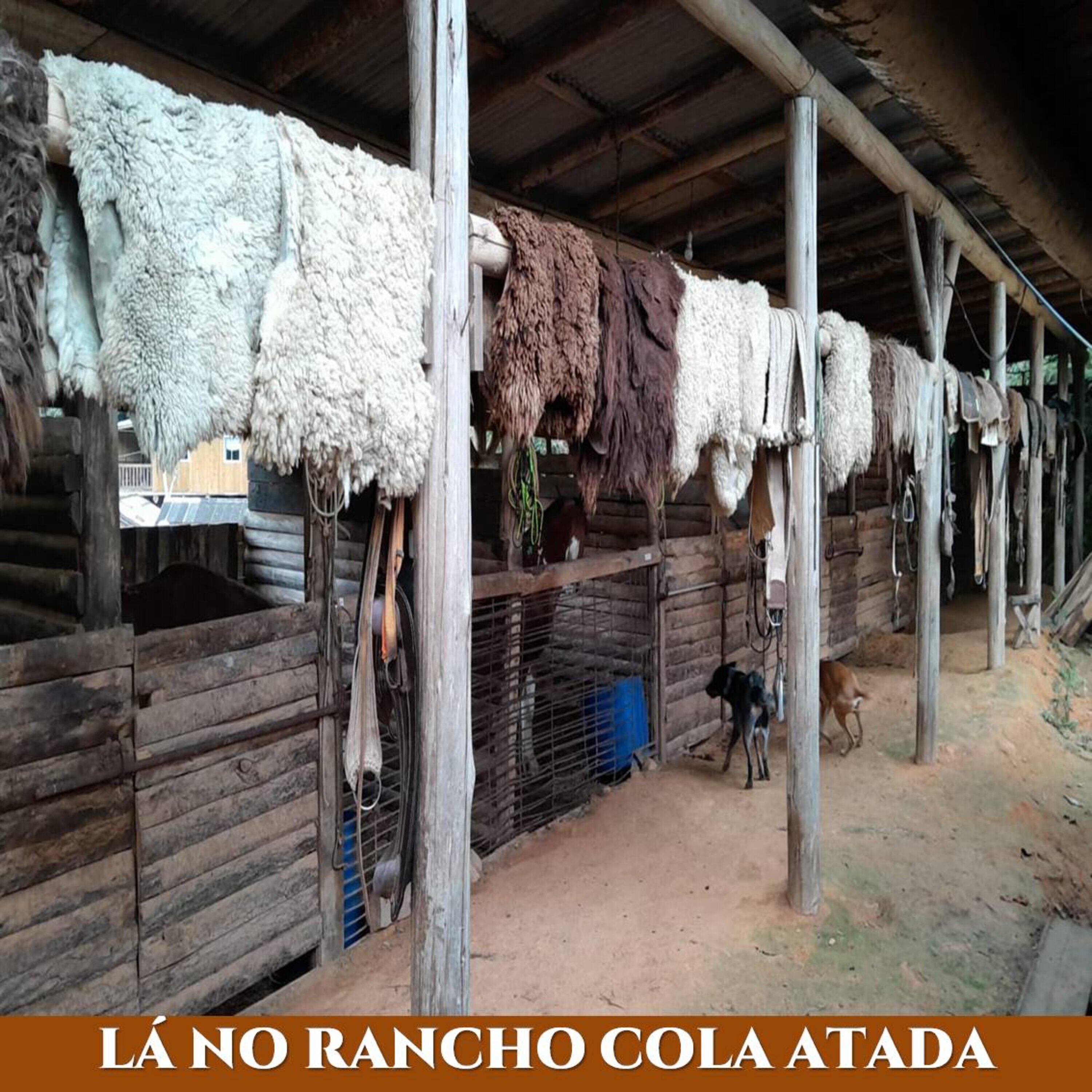 Релиз Lá no Rancho Cola Atada