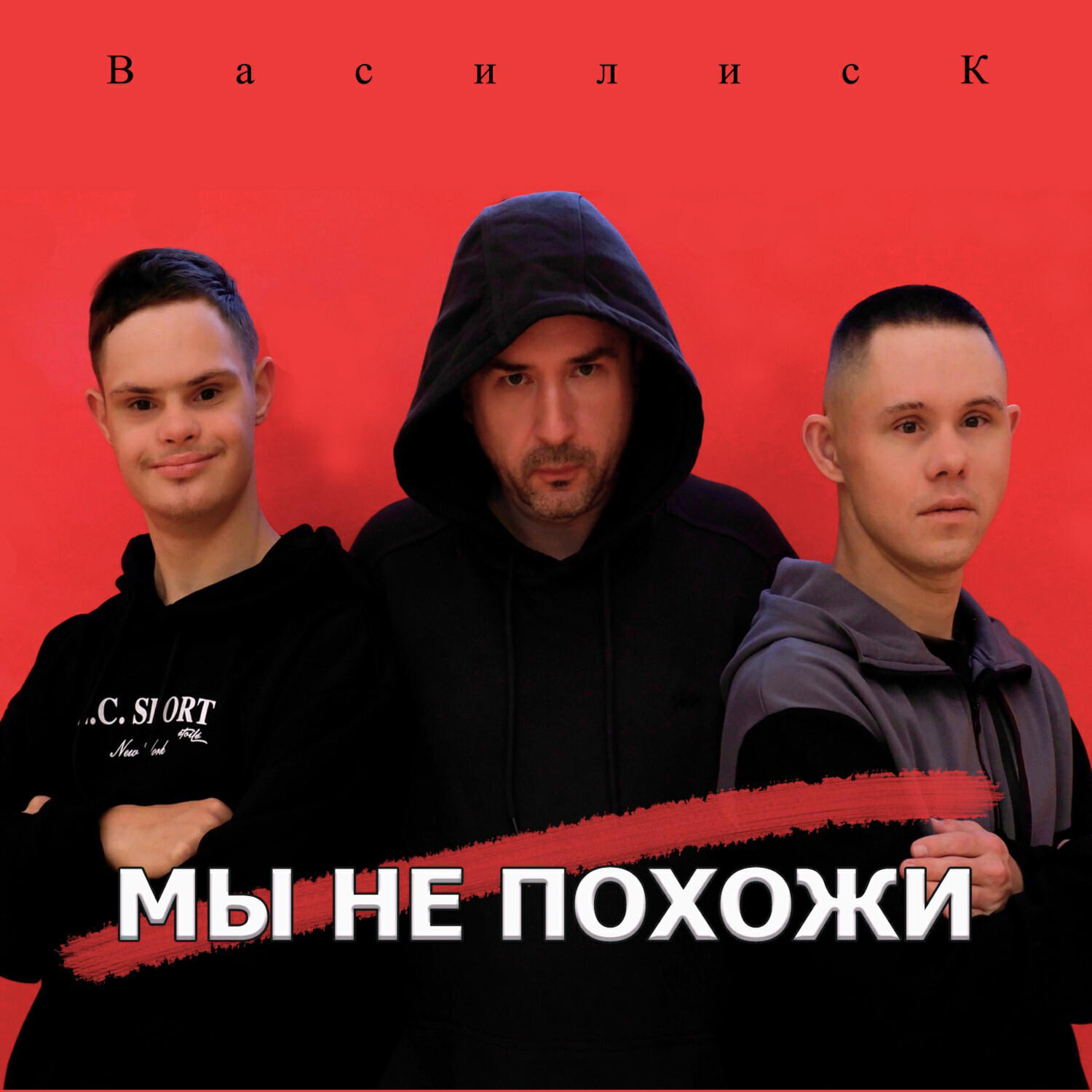 Постер альбома Мы не похожи