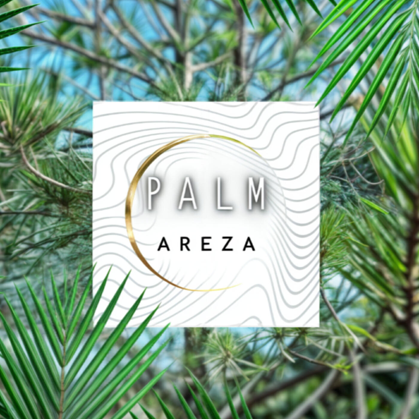 Релиз Palm