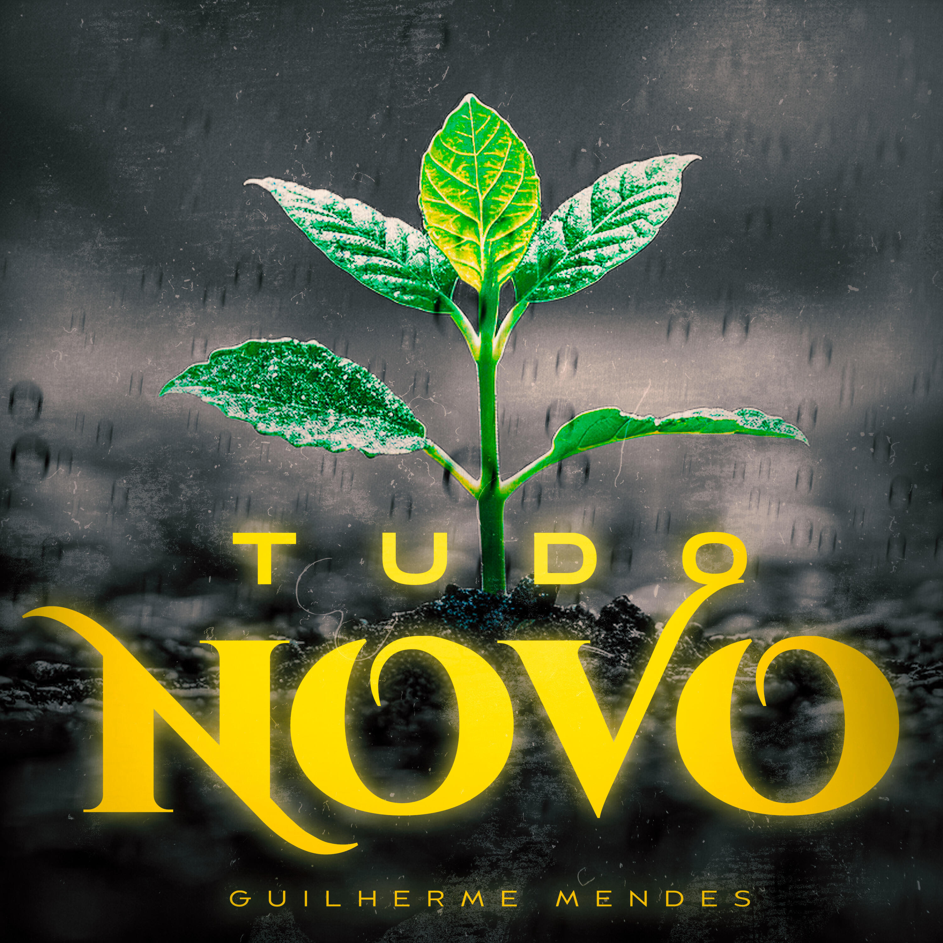 Релиз Tudo Novo