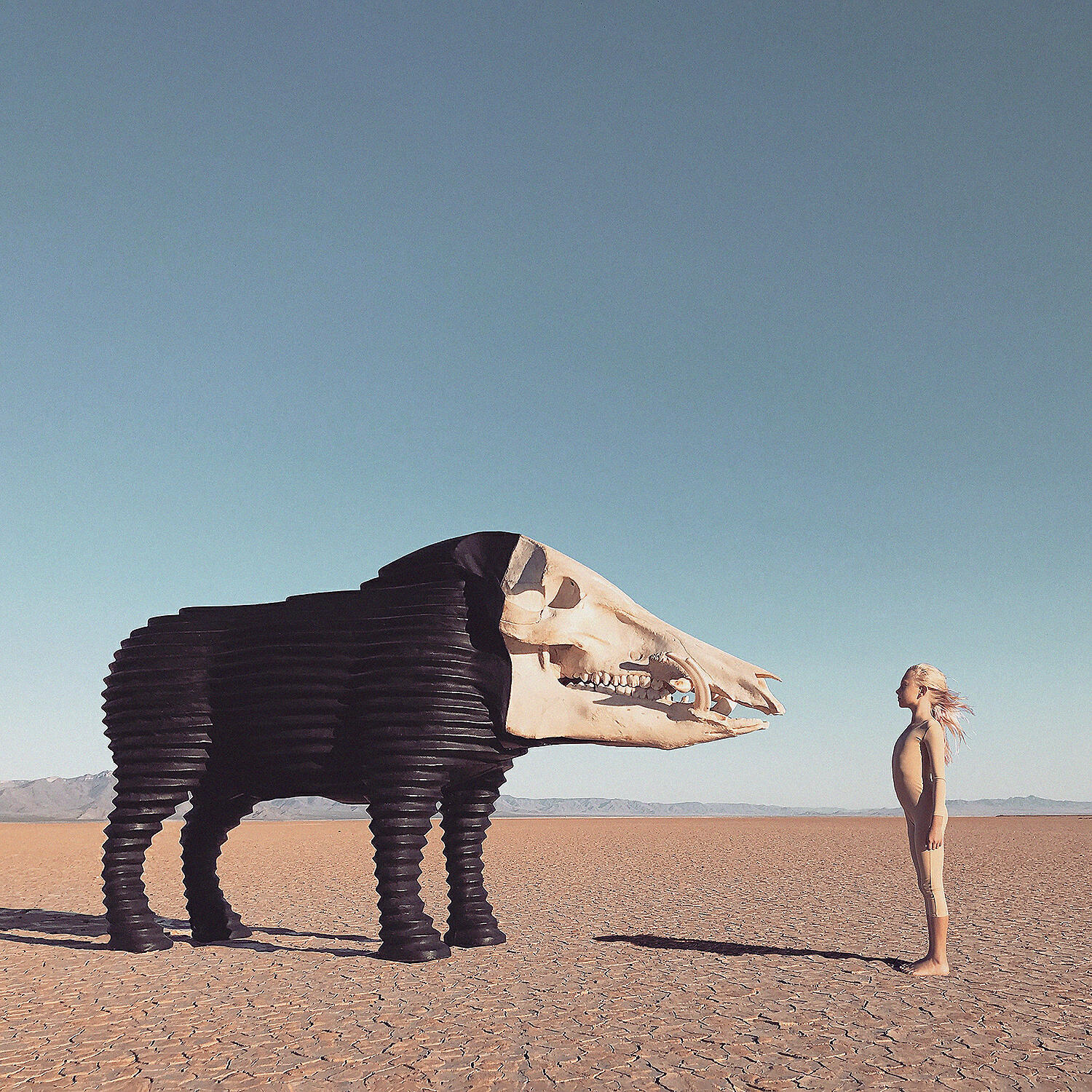 Релиз Dream Hunting in the Valley of the In-Between