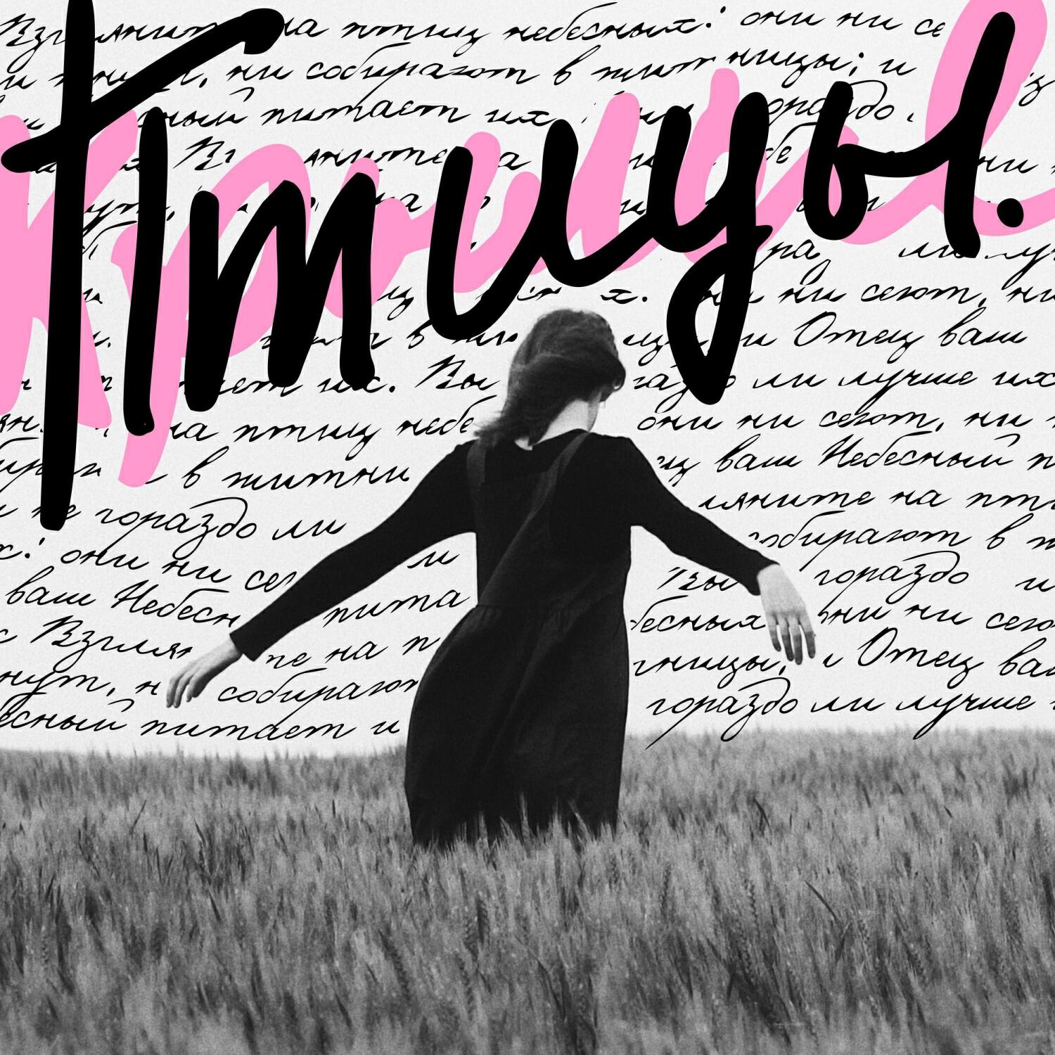 Релиз Птицы х Крылья