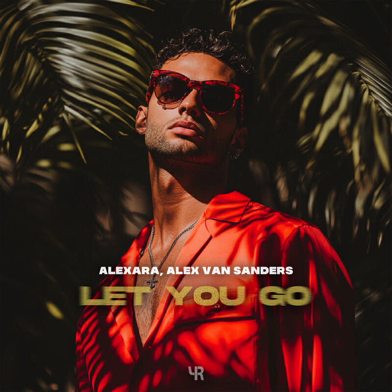 Релиз Let You Go