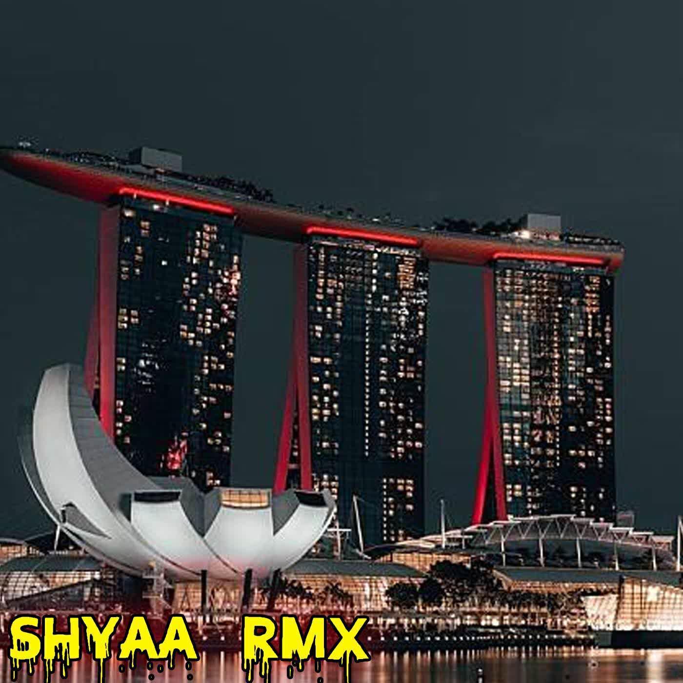 DJ Shyaa RMX