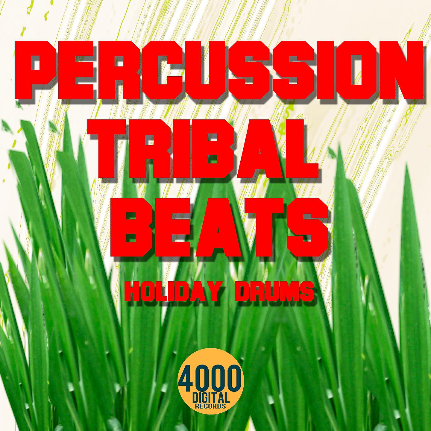 Релиз Percussion Tribal Beats