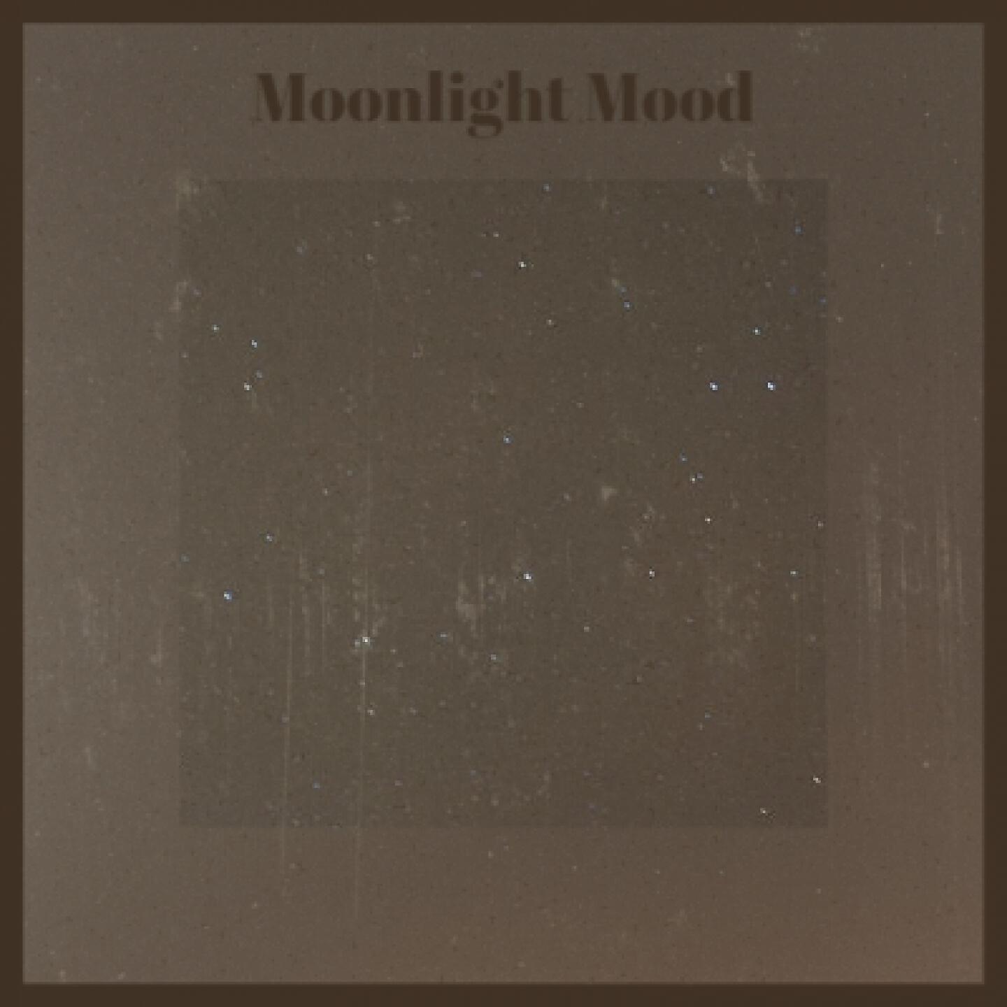 Постер альбома Moonlight Mood