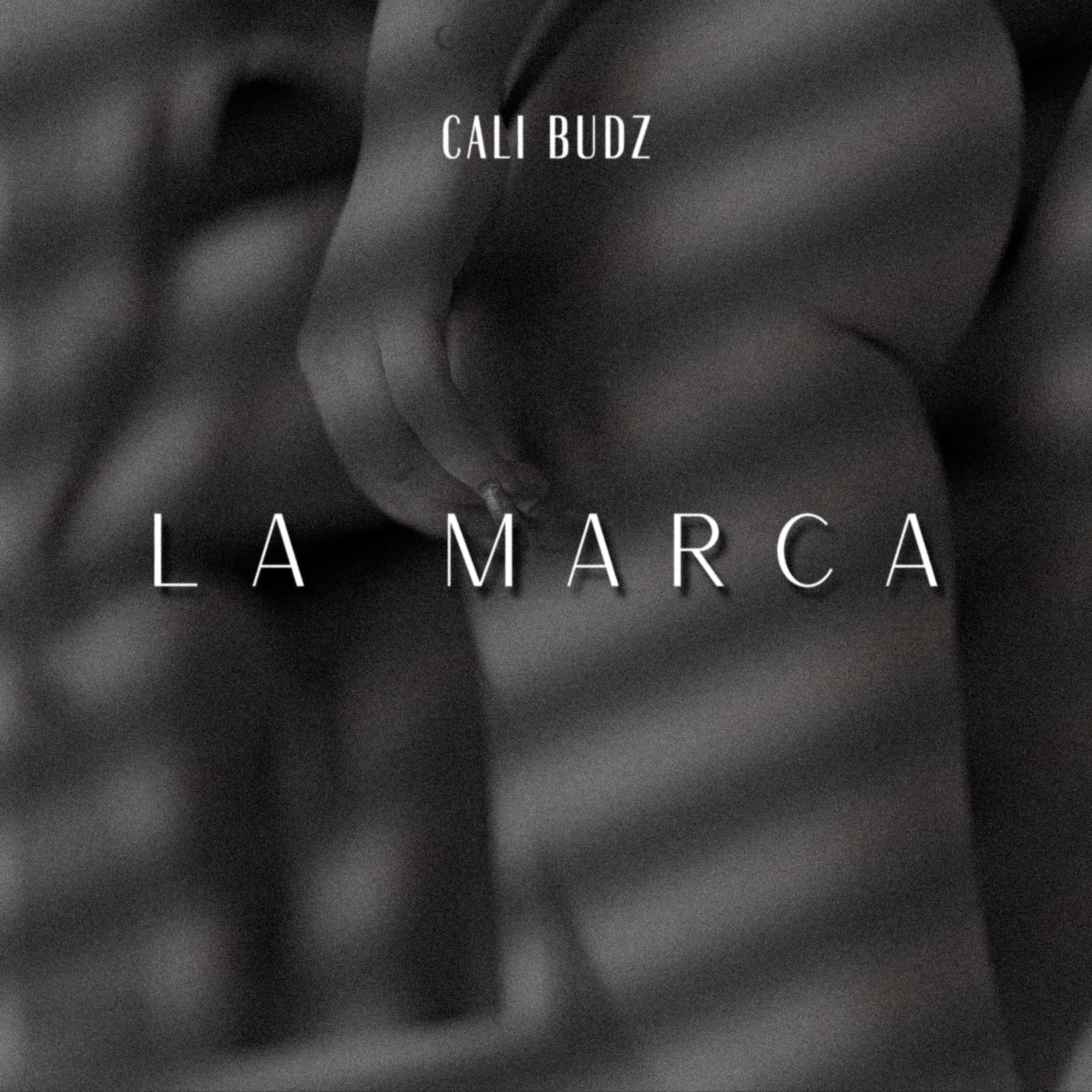 Релиз La Marca