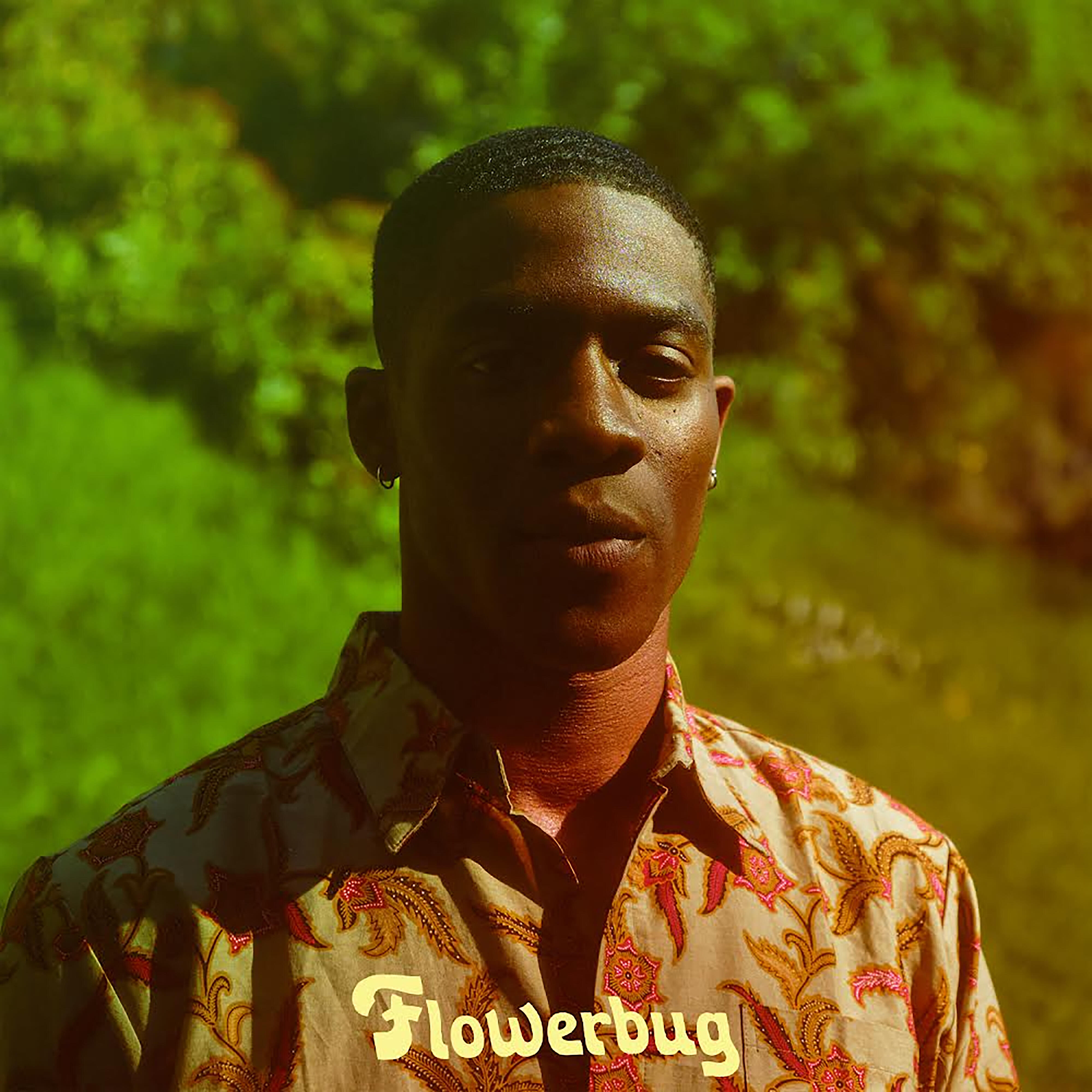 Релиз Flowerbug (Interlude)
