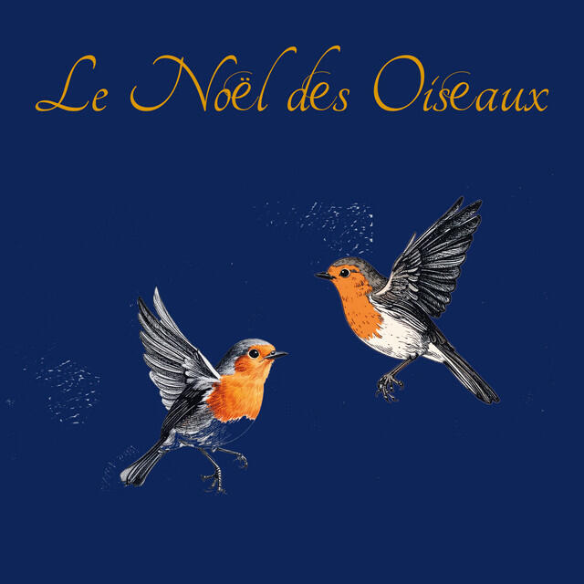 Релиз Le Noël des oiseaux (Arr. for Cello & Piano by Julian Riem)