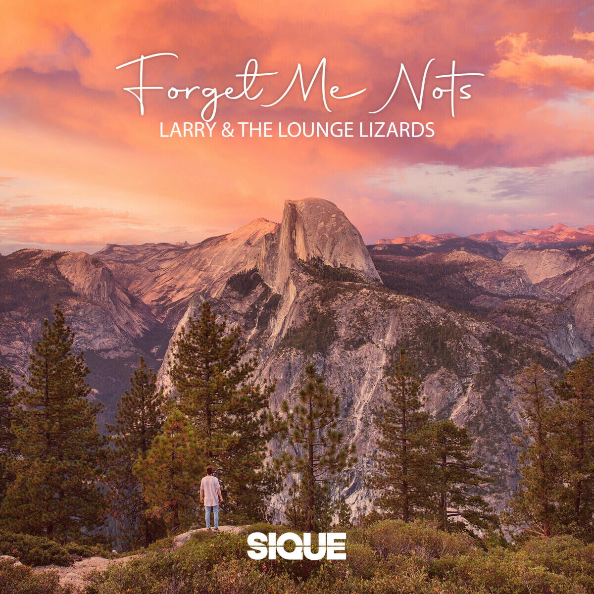 Релиз Forget Me Nots