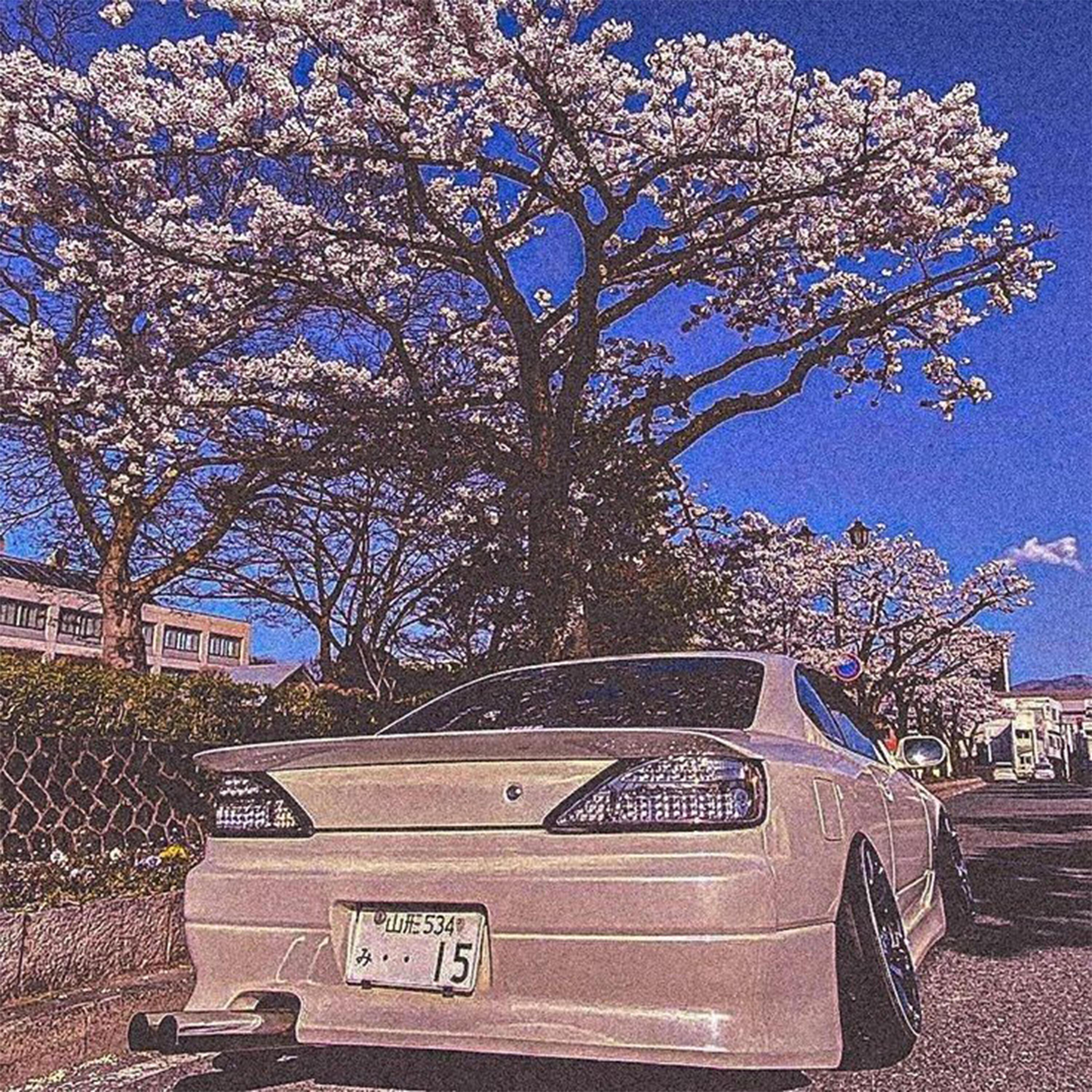 mxltrex