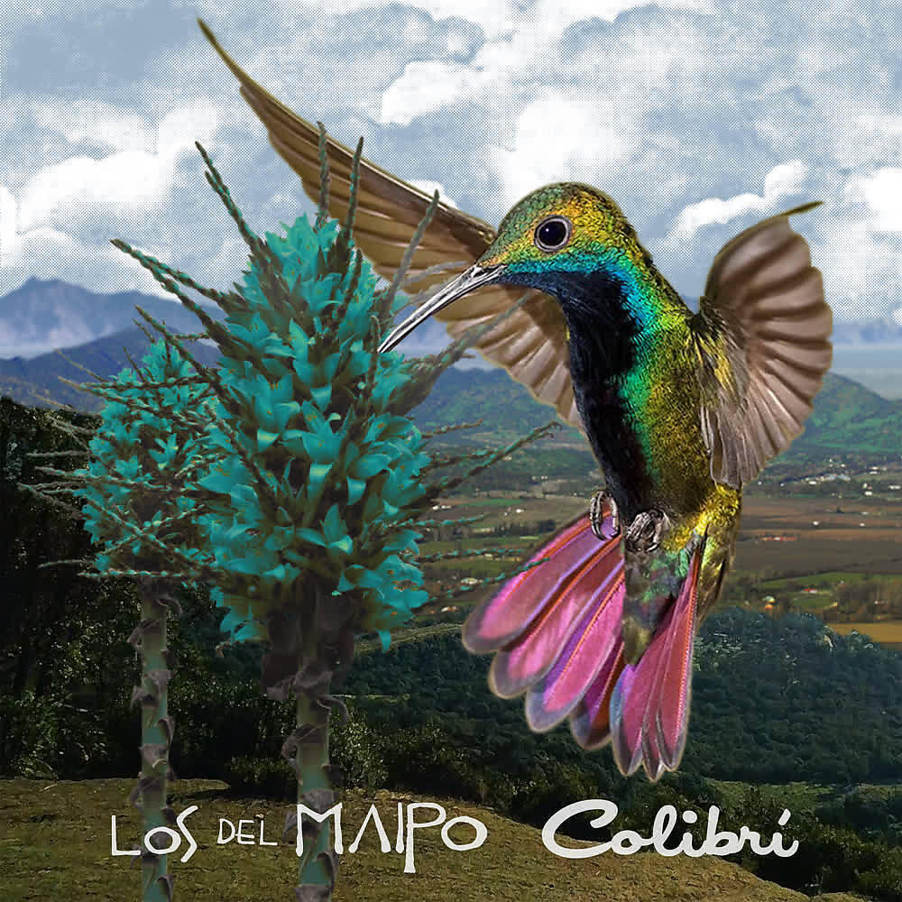 Релиз Colibrí