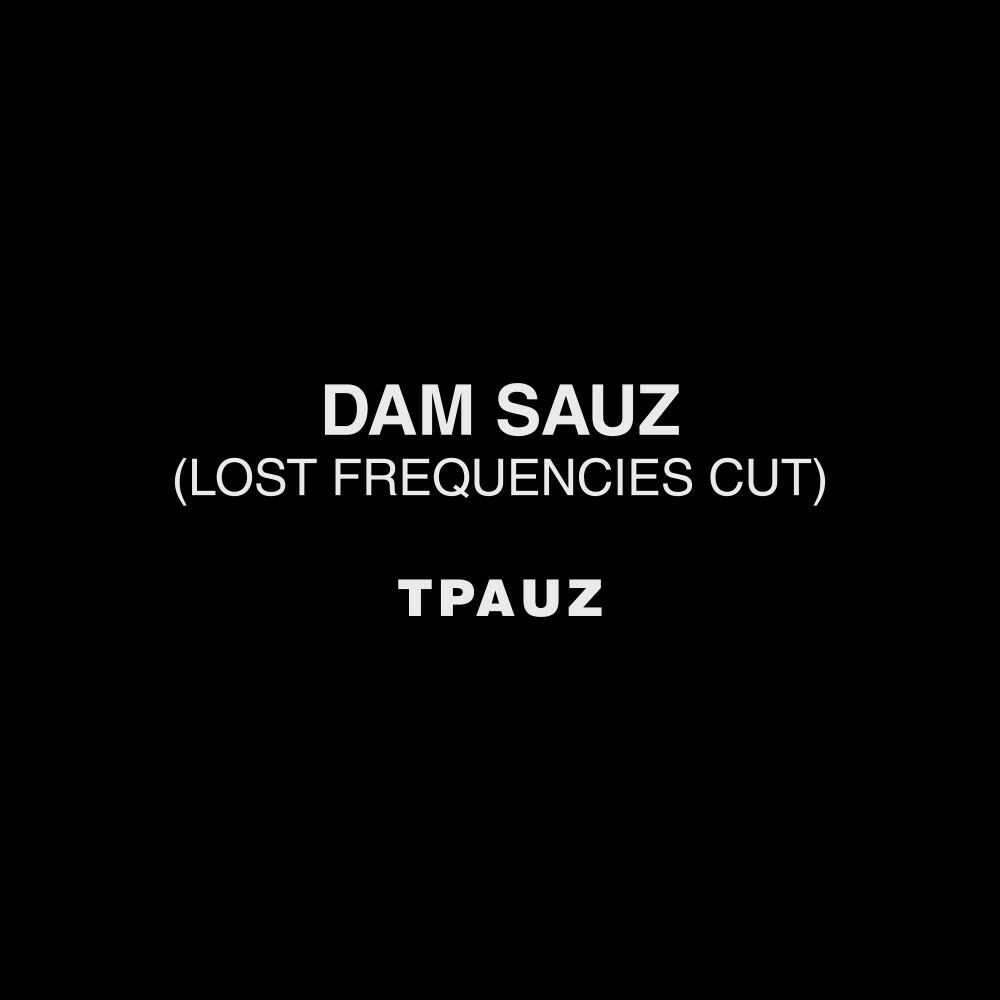 Релиз Dam Sauz (Lost Frequencies Cut)