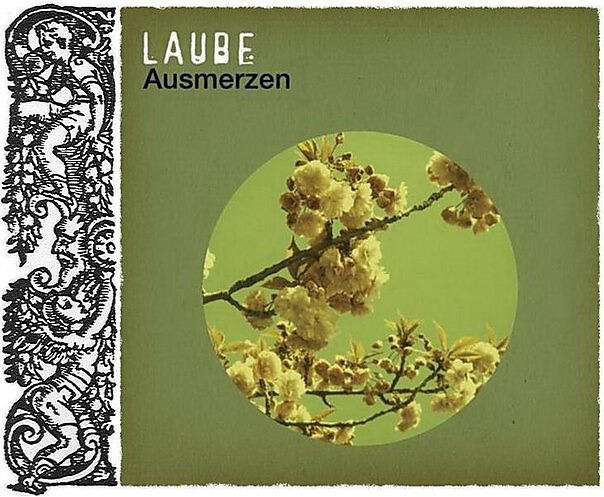 Laube