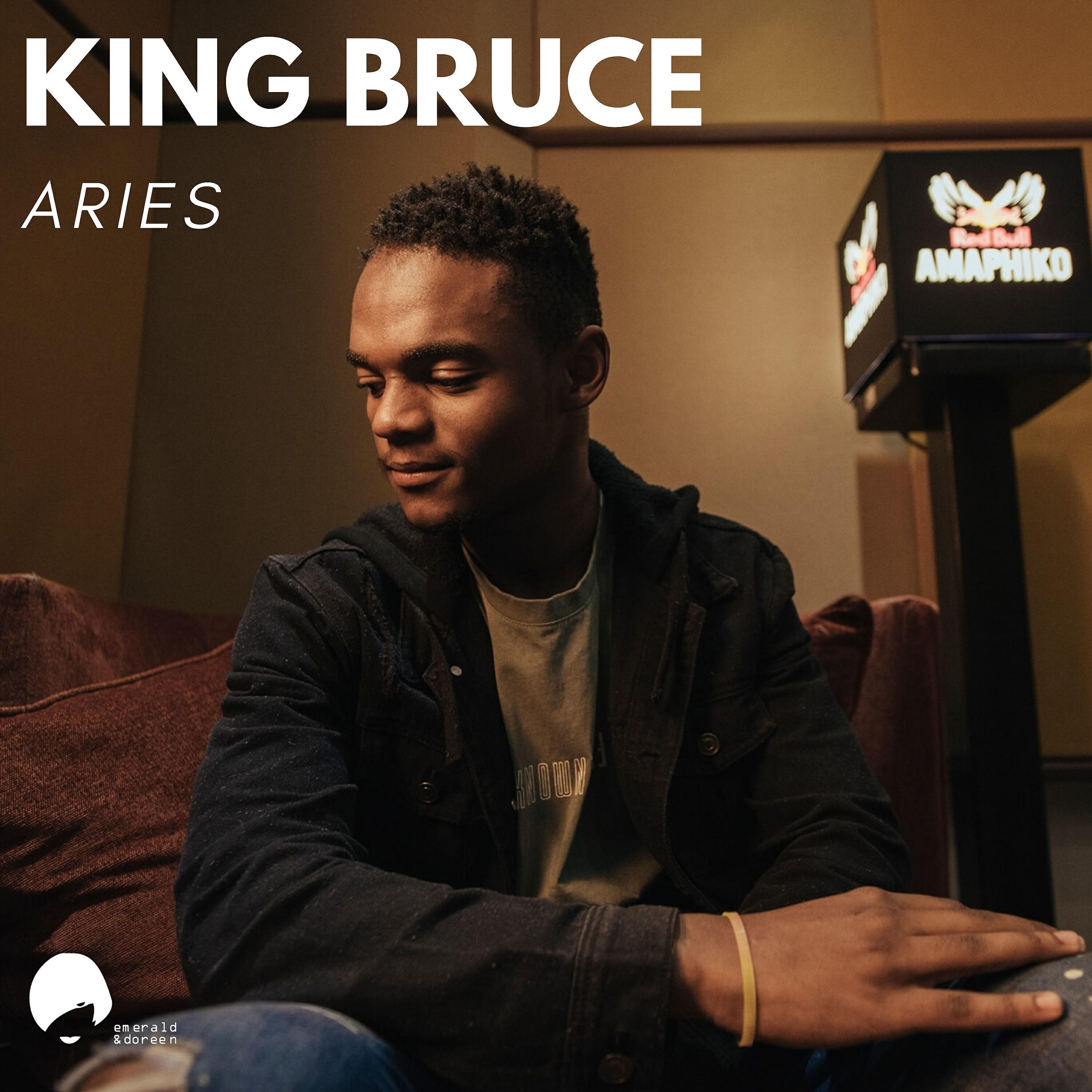 Релиз Aries
