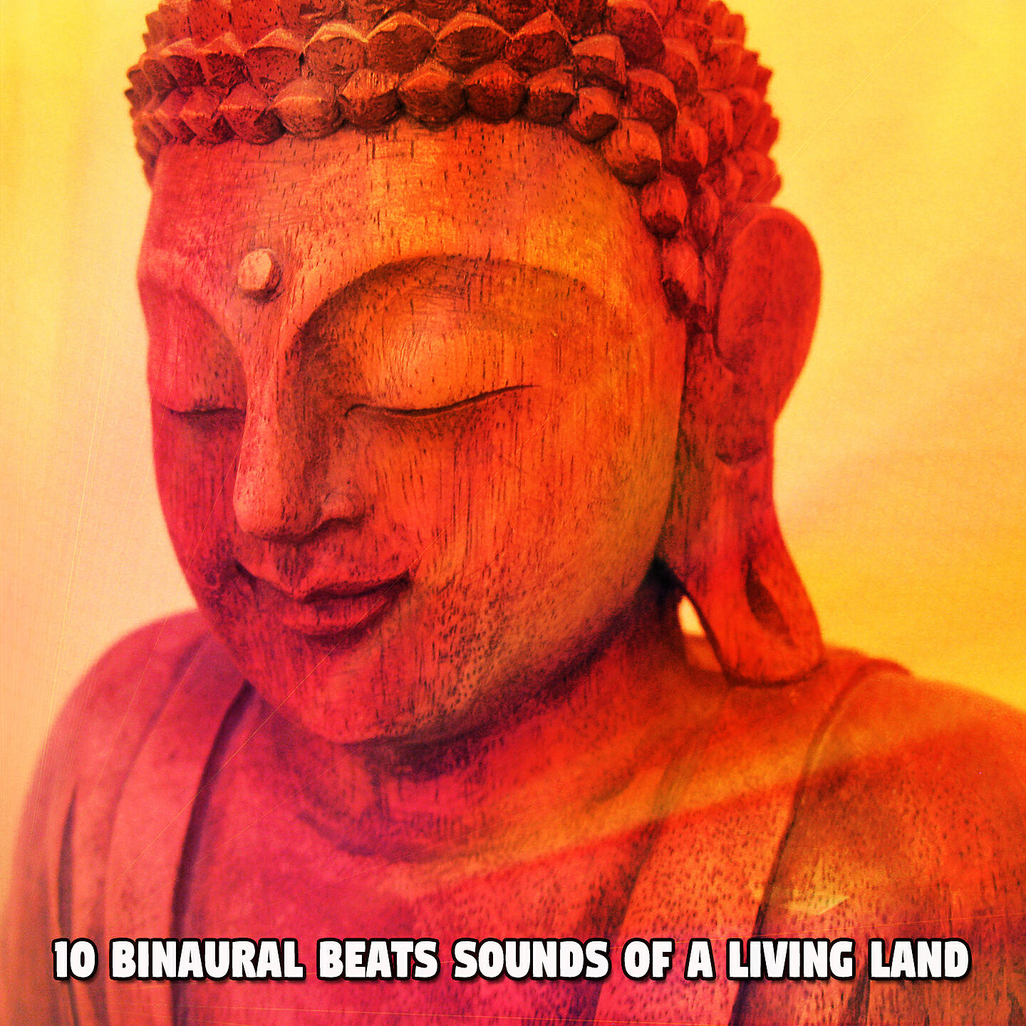 Релиз 10 Binaural Beats Sounds Of A Living Land